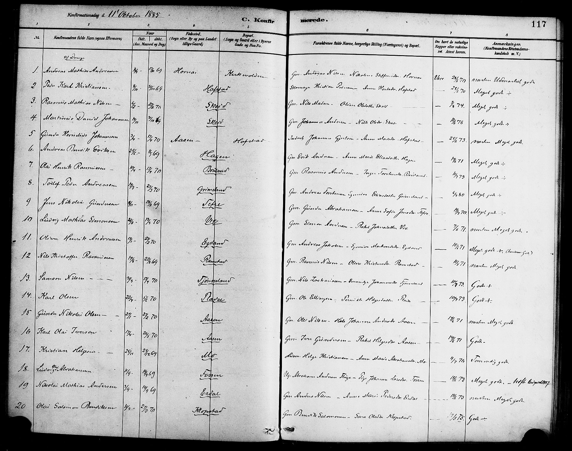 Førde sokneprestembete, SAB/A-79901/H/Haa/Haab/L0001: Parish register (official) no. B 1, 1880-1898, p. 117