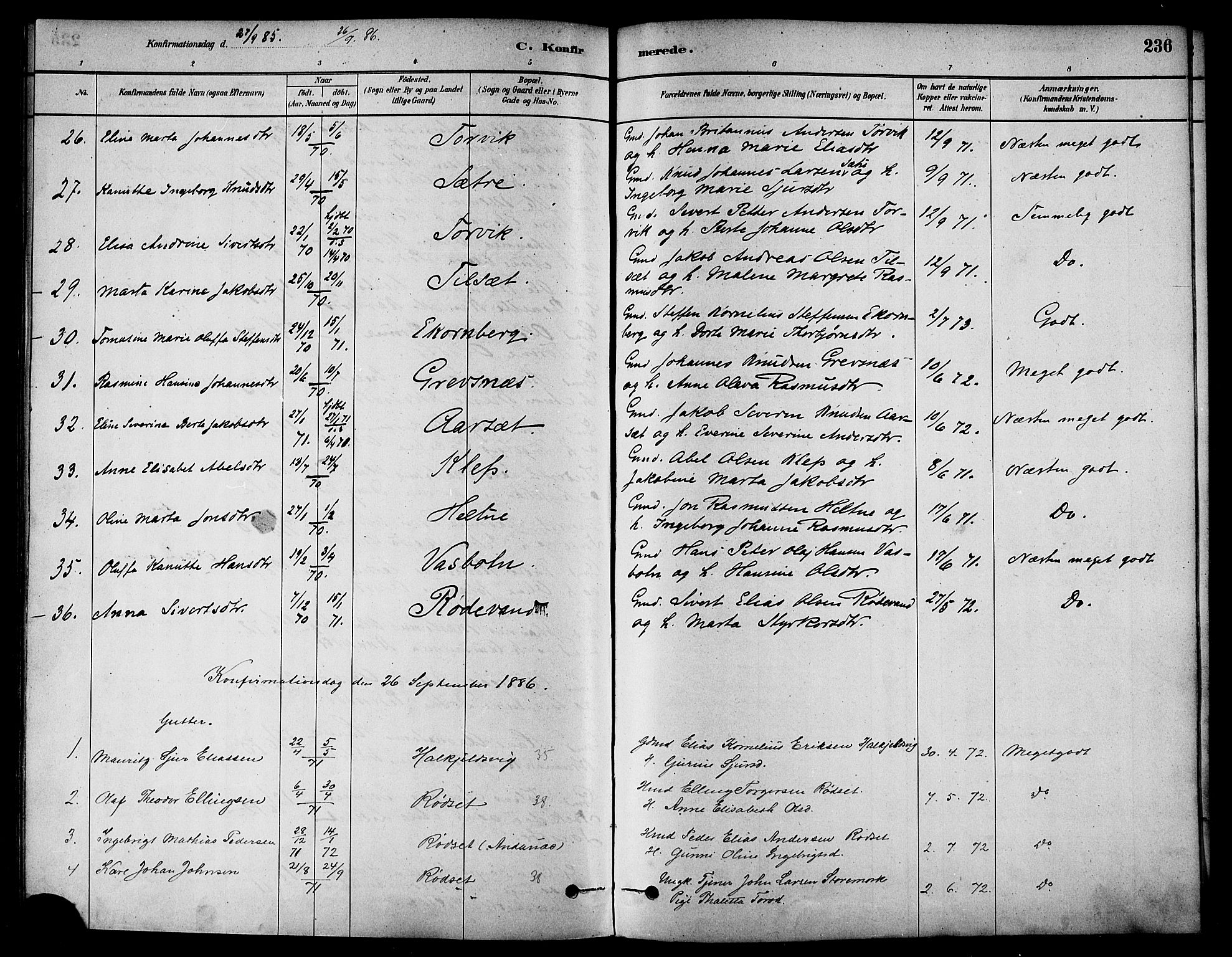 Ministerialprotokoller, klokkerbøker og fødselsregistre - Møre og Romsdal, AV/SAT-A-1454/511/L0141: Parish register (official) no. 511A08, 1878-1890, p. 236