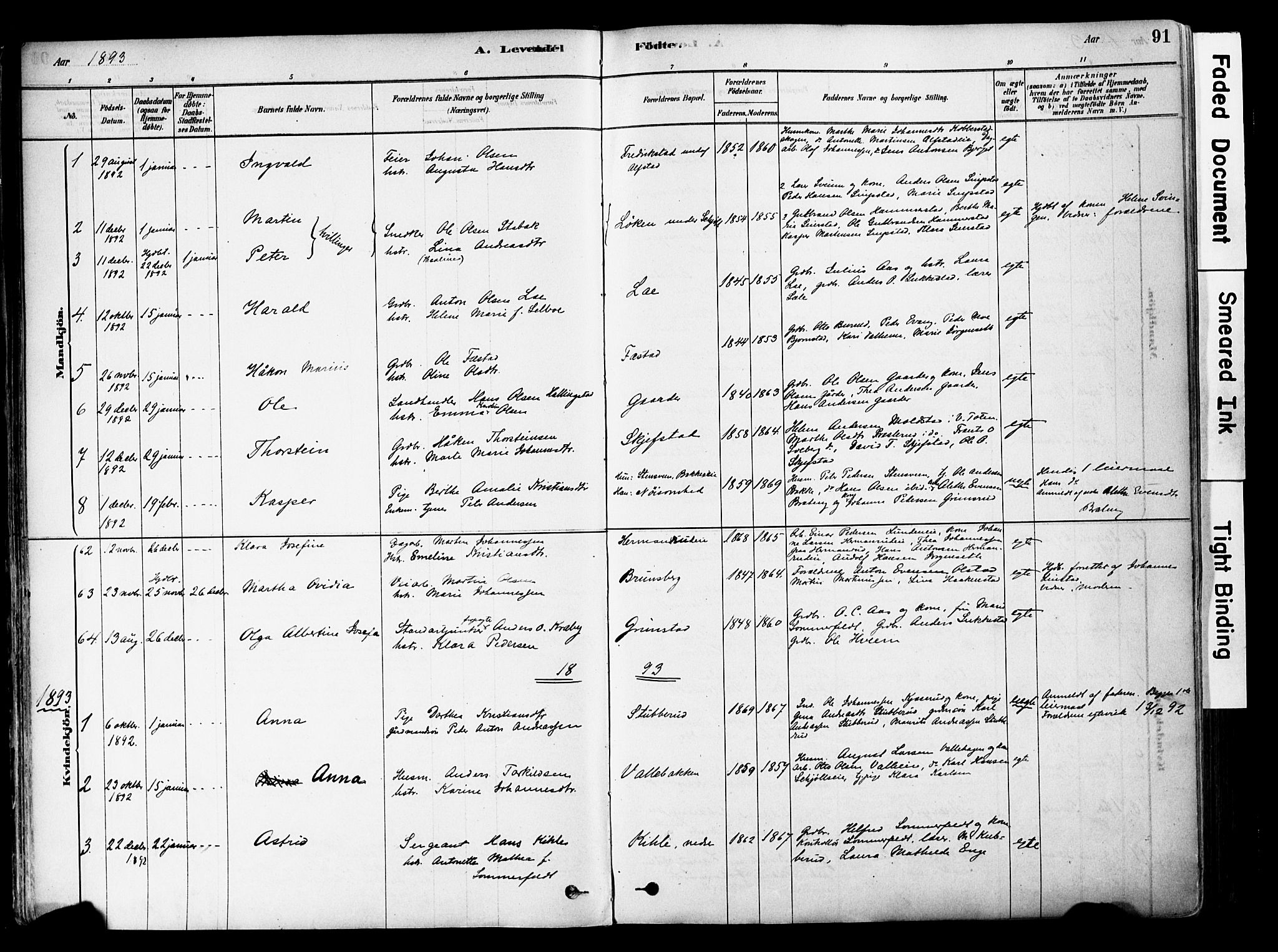 Østre Toten prestekontor, SAH/PREST-104/H/Ha/Haa/L0006: Parish register (official) no. 6 /1, 1878-1896, p. 91