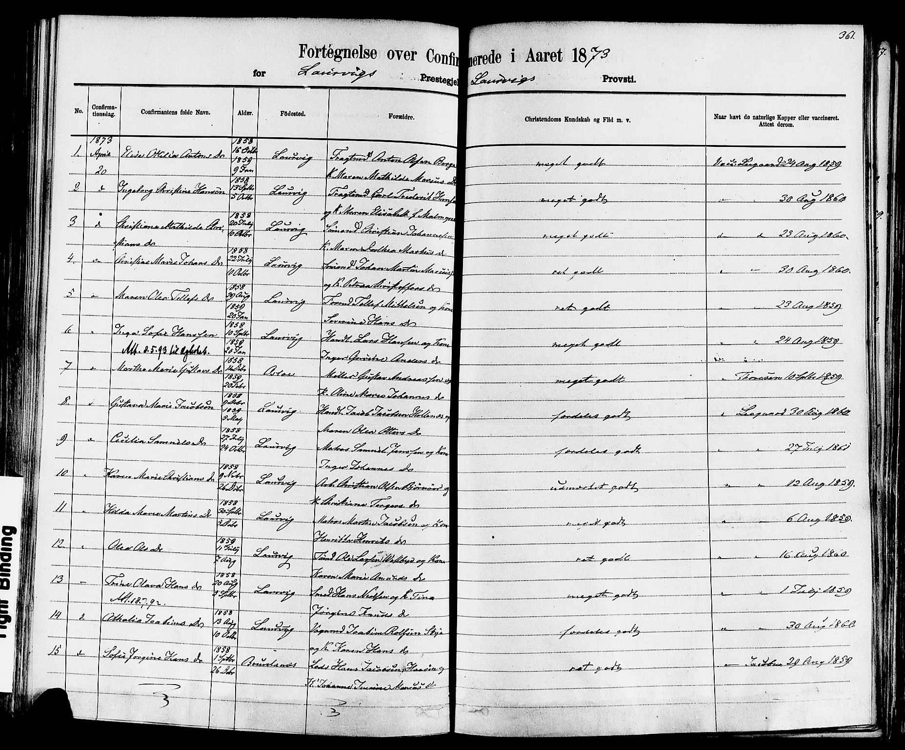 Larvik kirkebøker, AV/SAKO-A-352/F/Fa/L0006: Parish register (official) no. I 6, 1871-1883, p. 361