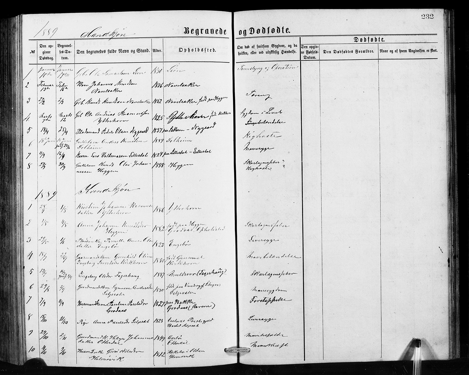 Hornindal sokneprestembete, AV/SAB-A-82401/H/Hab: Parish register (copy) no. A 1, 1876-1894, p. 232