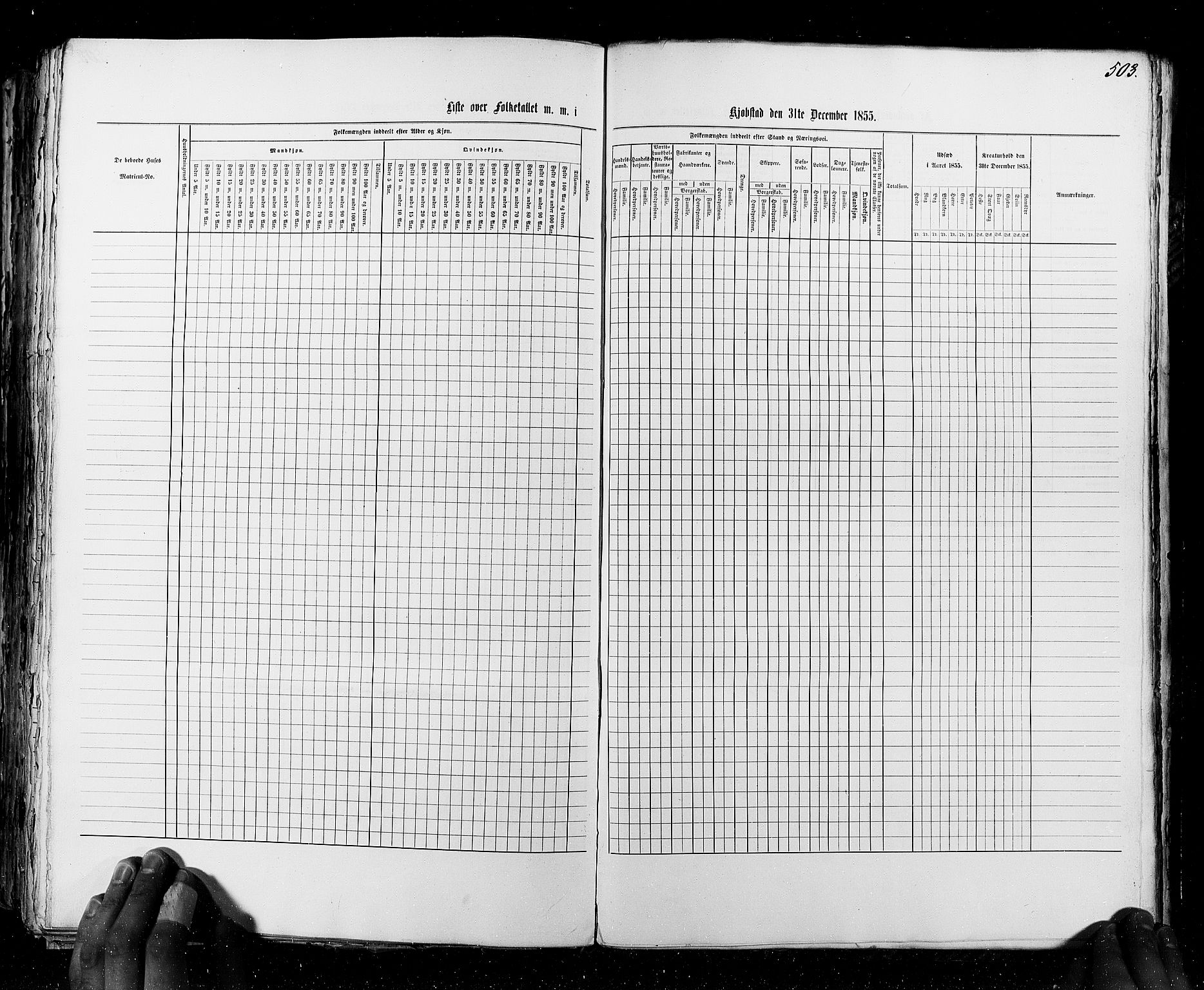 RA, Census 1855, vol. 7: Fredrikshald-Kragerø, 1855, p. 503