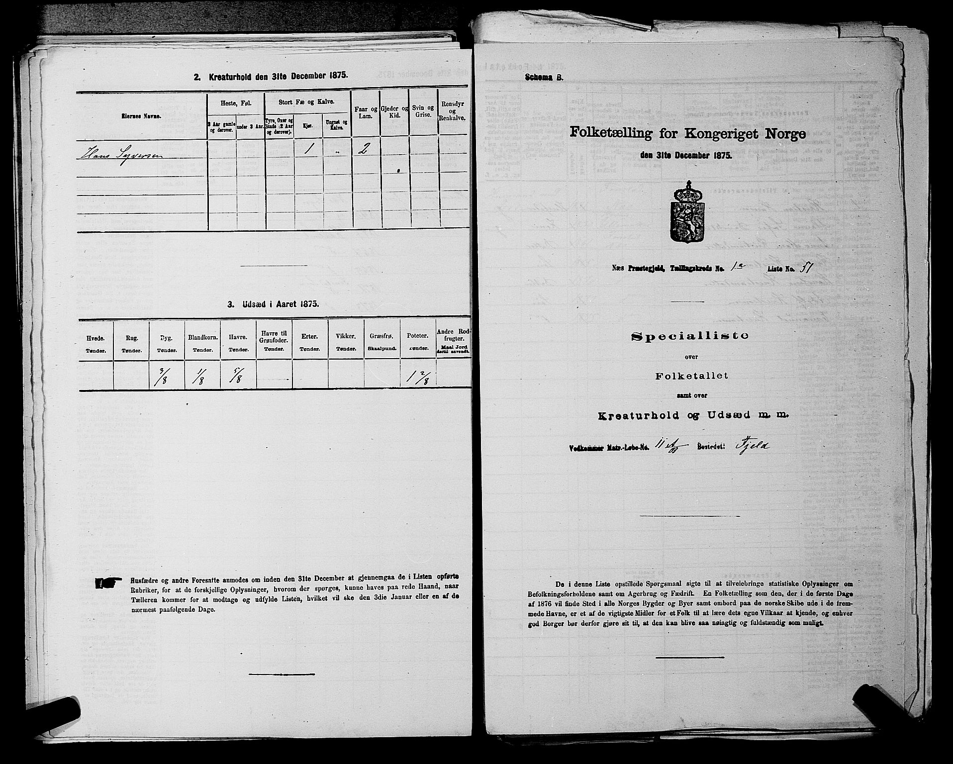 RA, 1875 census for 0236P Nes, 1875, p. 173