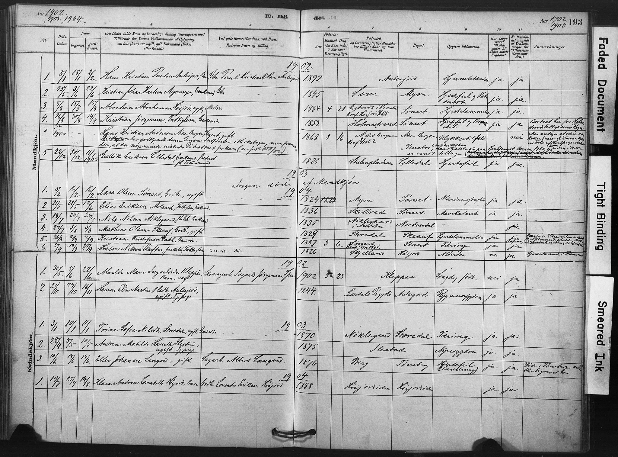 Andebu kirkebøker, AV/SAKO-A-336/F/Fa/L0009: Parish register (official) no. 9, 1878-1909, p. 193