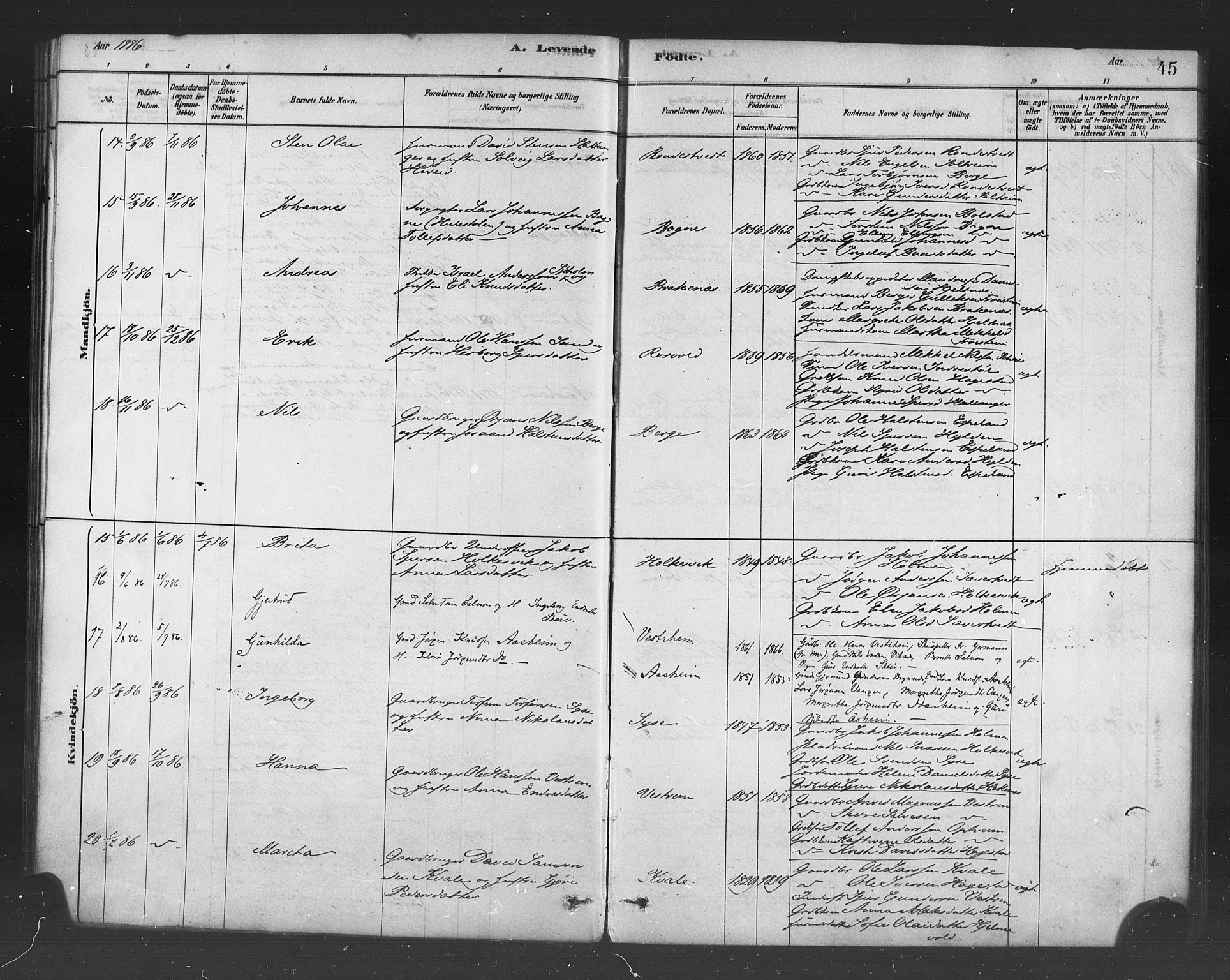 Ulvik sokneprestembete, AV/SAB-A-78801/H/Haa: Parish register (official) no. B 1, 1878-1897, p. 45