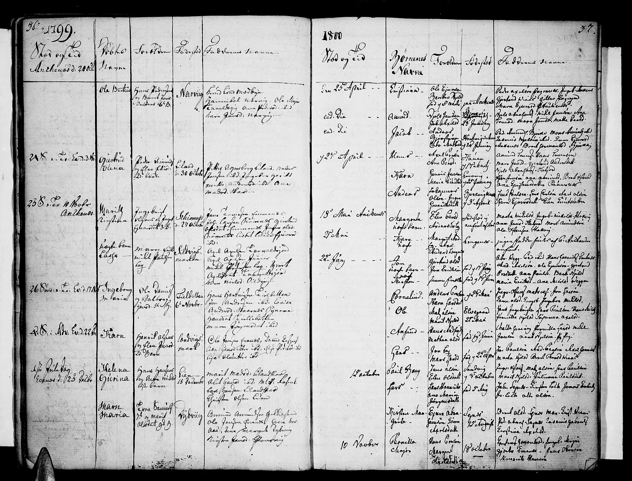 Ministerialprotokoller, klokkerbøker og fødselsregistre - Nordland, SAT/A-1459/863/L0893: Parish register (official) no. 863A05, 1794-1821, p. 36-37