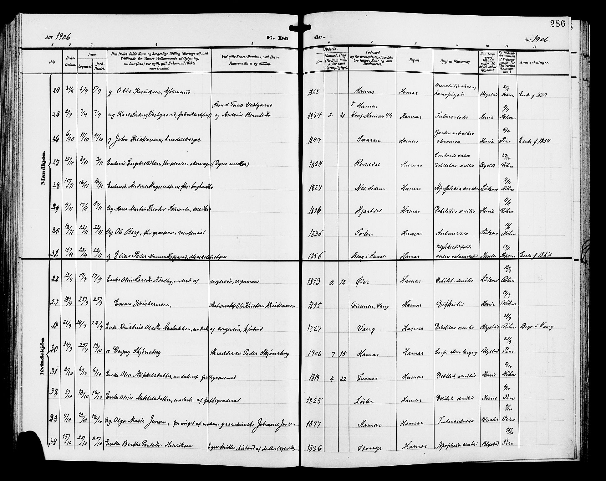 Hamar prestekontor, AV/SAH-DOMPH-002/H/Ha/Hab/L0001: Parish register (copy) no. 1, 1899-1914, p. 286