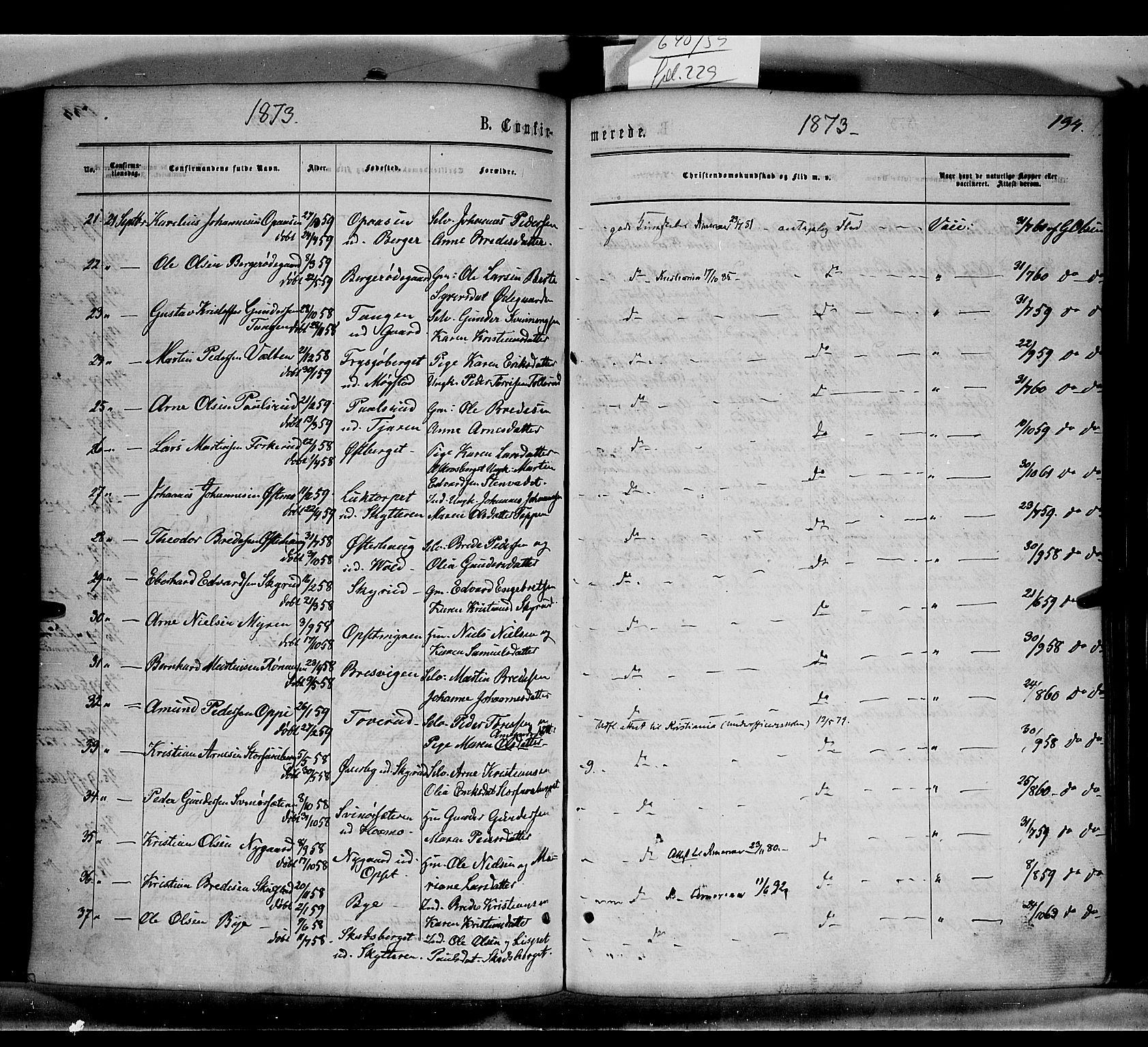 Grue prestekontor, AV/SAH-PREST-036/H/Ha/Haa/L0010: Parish register (official) no. 10, 1864-1873, p. 194