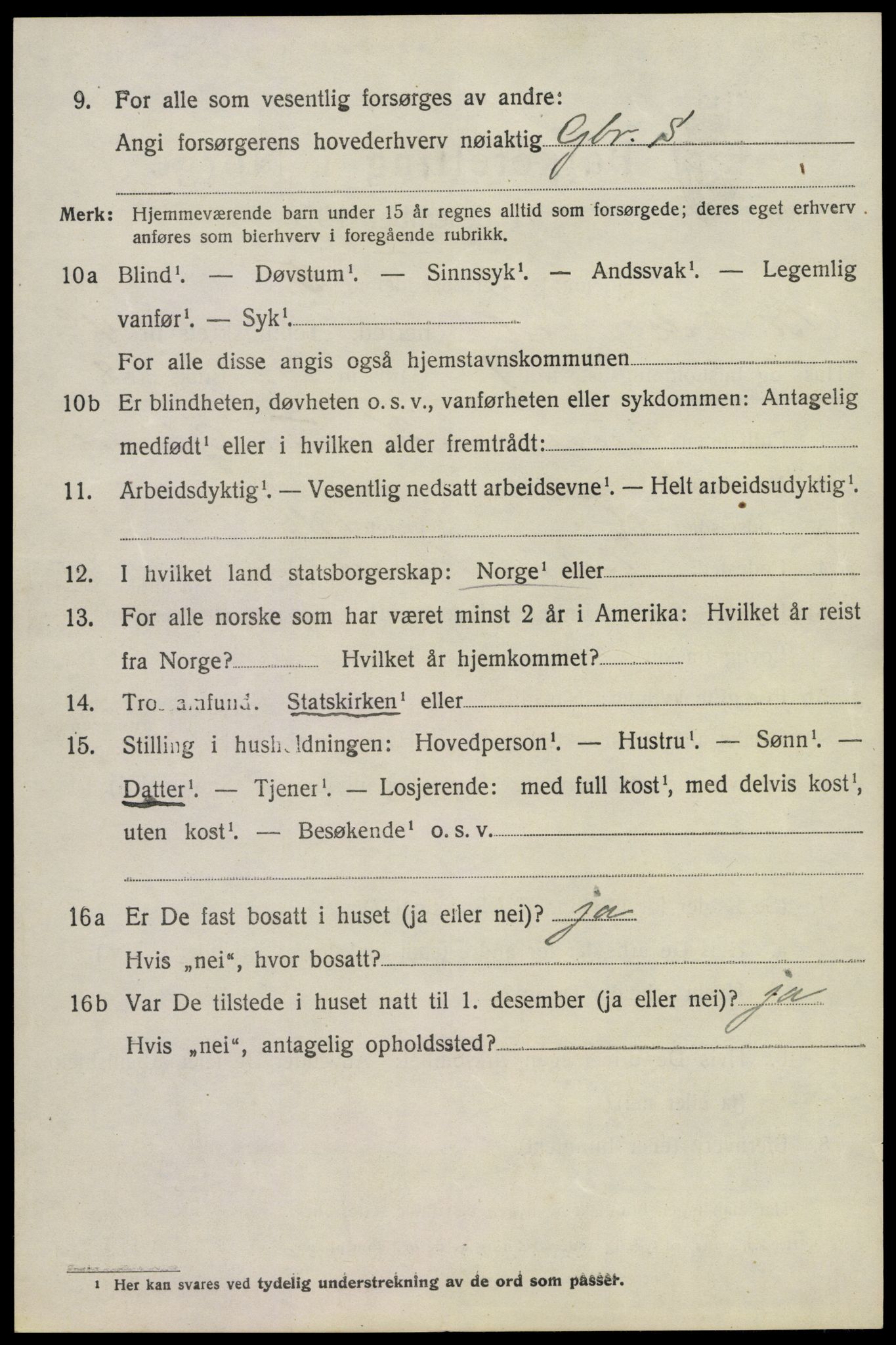 SAKO, 1920 census for Krødsherad, 1920, p. 5244