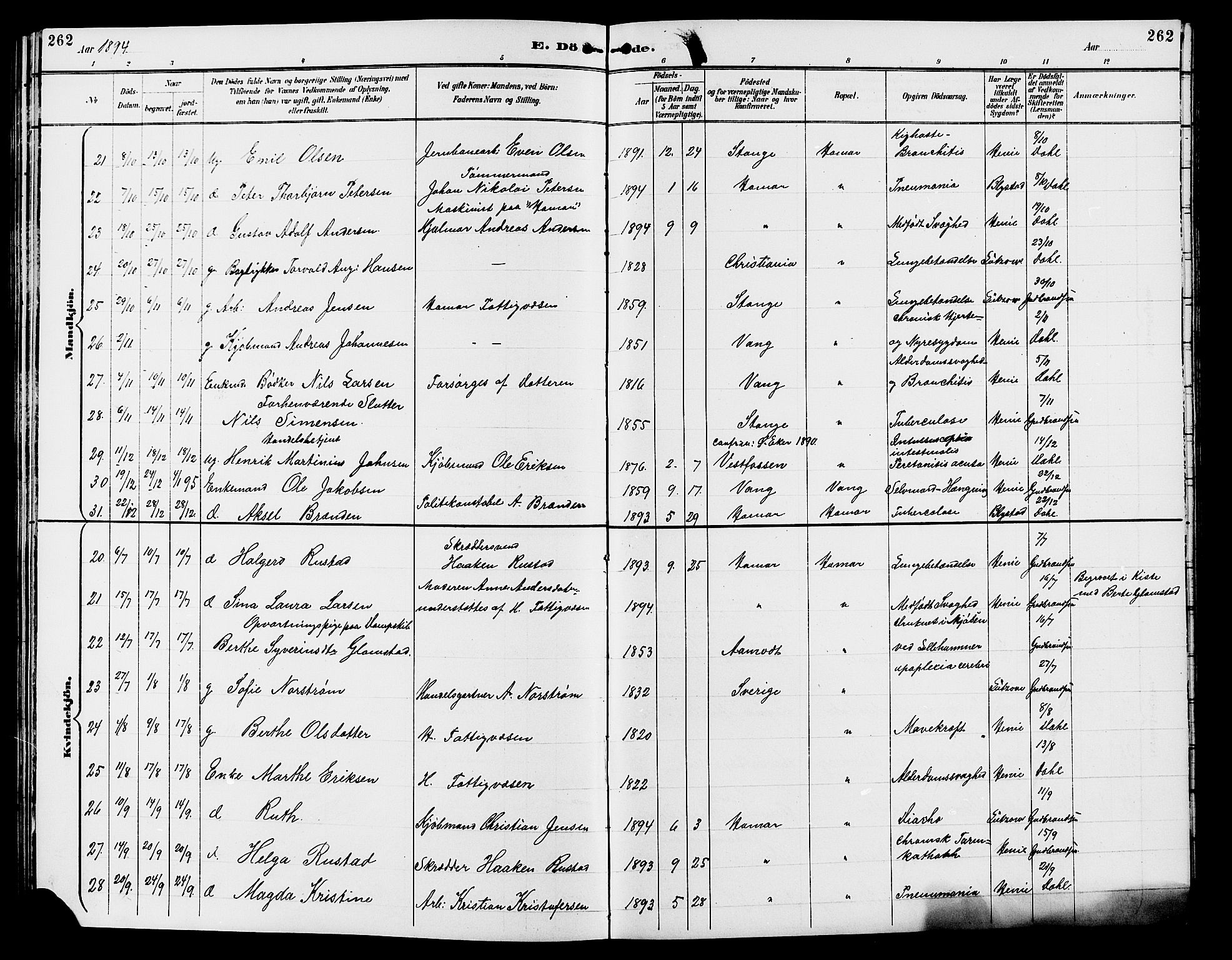 Vang prestekontor, Hedmark, AV/SAH-PREST-008/H/Ha/Hab/L0013: Parish register (copy) no. 13, 1890-1899, p. 262