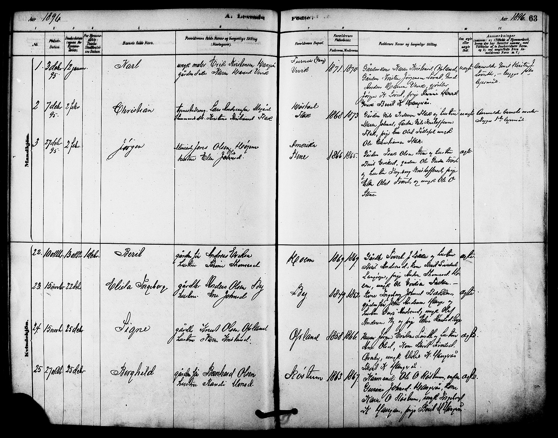 Ministerialprotokoller, klokkerbøker og fødselsregistre - Sør-Trøndelag, SAT/A-1456/612/L0378: Parish register (official) no. 612A10, 1878-1897, p. 63