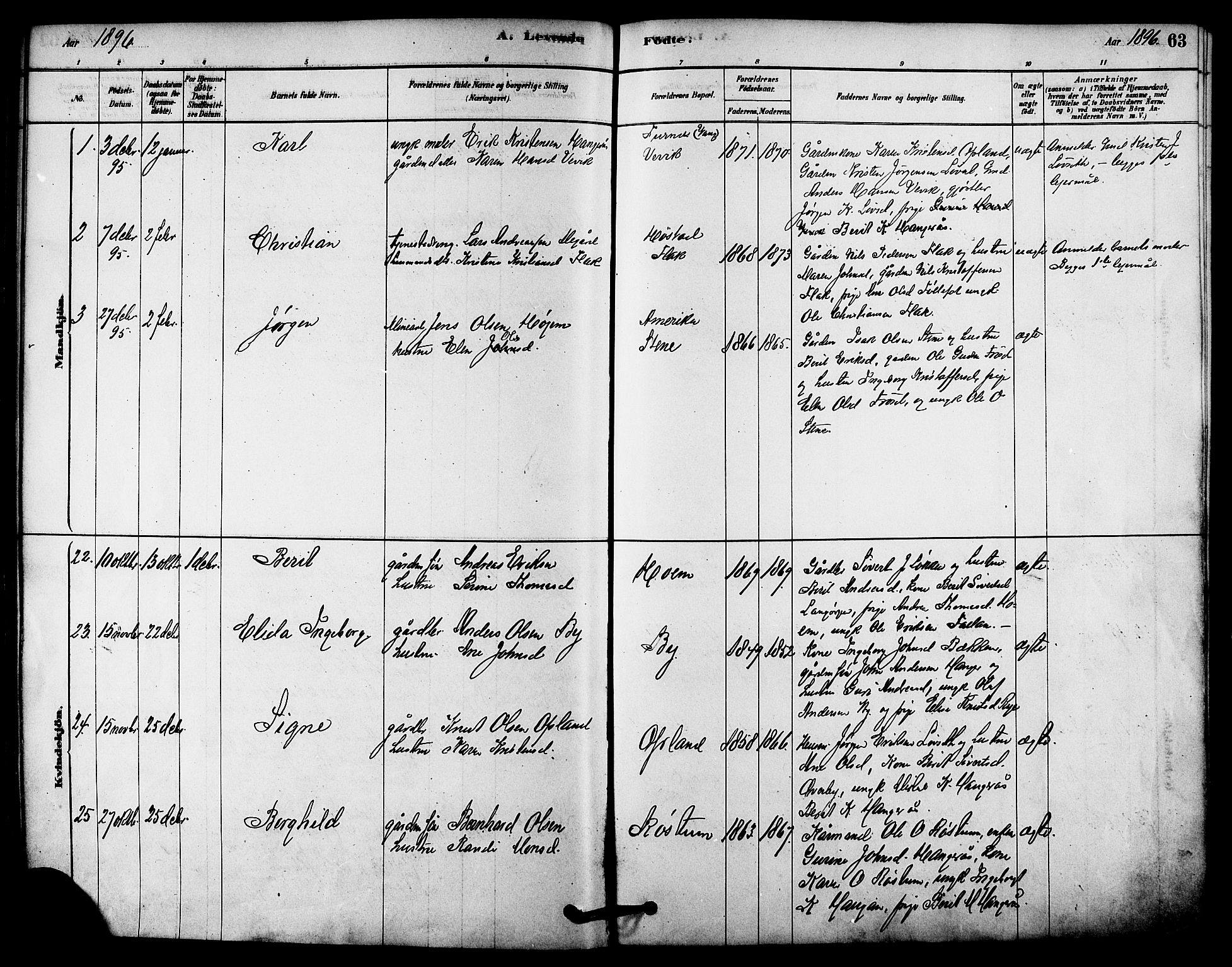 Ministerialprotokoller, klokkerbøker og fødselsregistre - Sør-Trøndelag, AV/SAT-A-1456/612/L0378: Parish register (official) no. 612A10, 1878-1897, p. 63