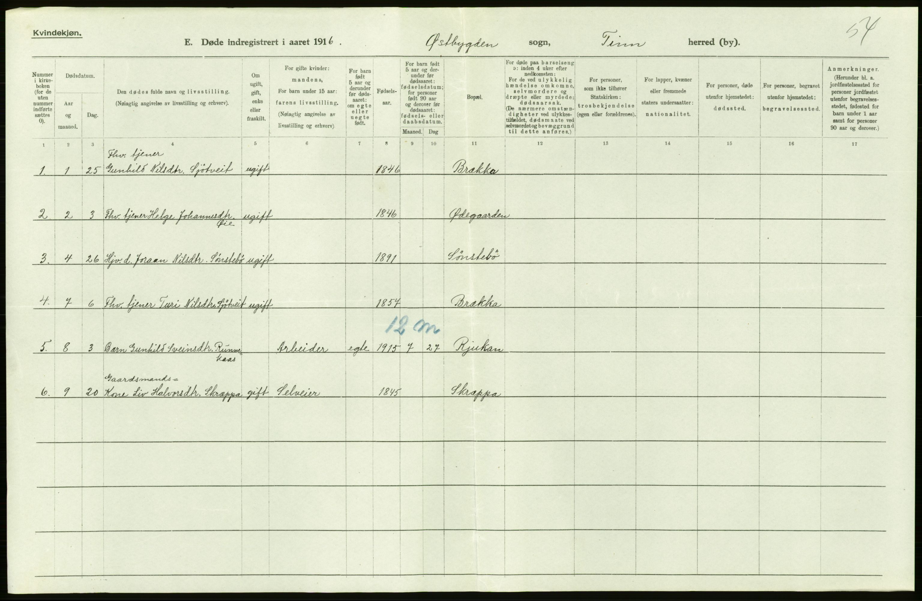 Statistisk sentralbyrå, Sosiodemografiske emner, Befolkning, RA/S-2228/D/Df/Dfb/Dfbf/L0024: Bratsberg amt: Døde, dødfødte. Bygder og byer., 1916, p. 256