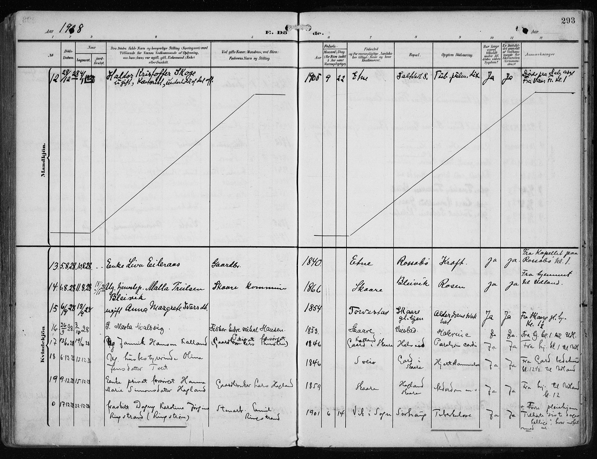 Haugesund sokneprestkontor, AV/SAST-A -101863/H/Ha/Haa/L0010: Parish register (official) no. A 10, 1909-1935, p. 293