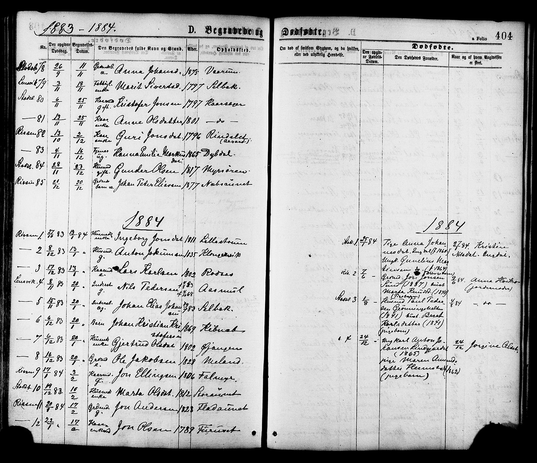 Ministerialprotokoller, klokkerbøker og fødselsregistre - Sør-Trøndelag, SAT/A-1456/646/L0613: Parish register (official) no. 646A11, 1870-1884, p. 404