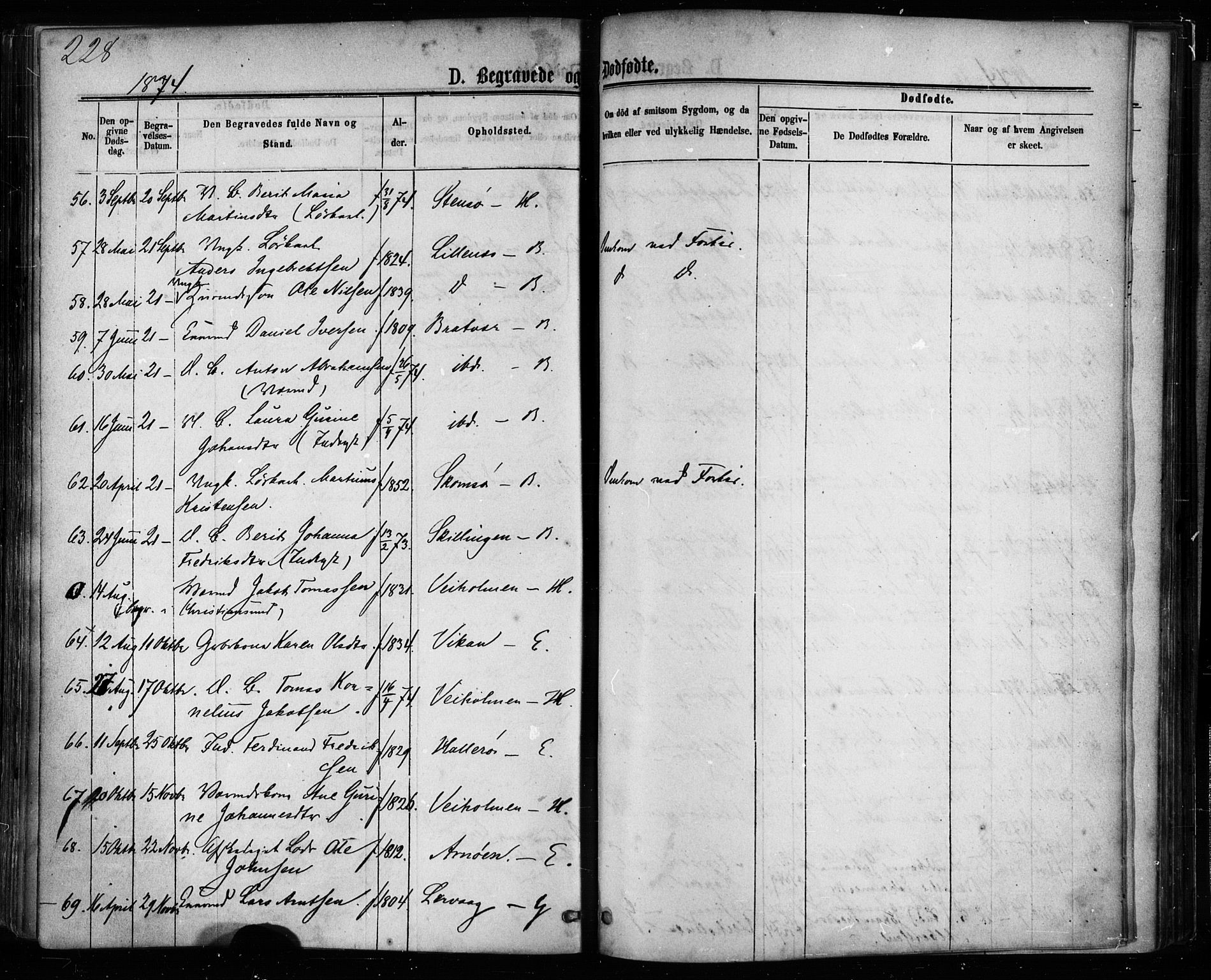 Ministerialprotokoller, klokkerbøker og fødselsregistre - Møre og Romsdal, AV/SAT-A-1454/581/L0938: Parish register (official) no. 581A06, 1873-1879, p. 228