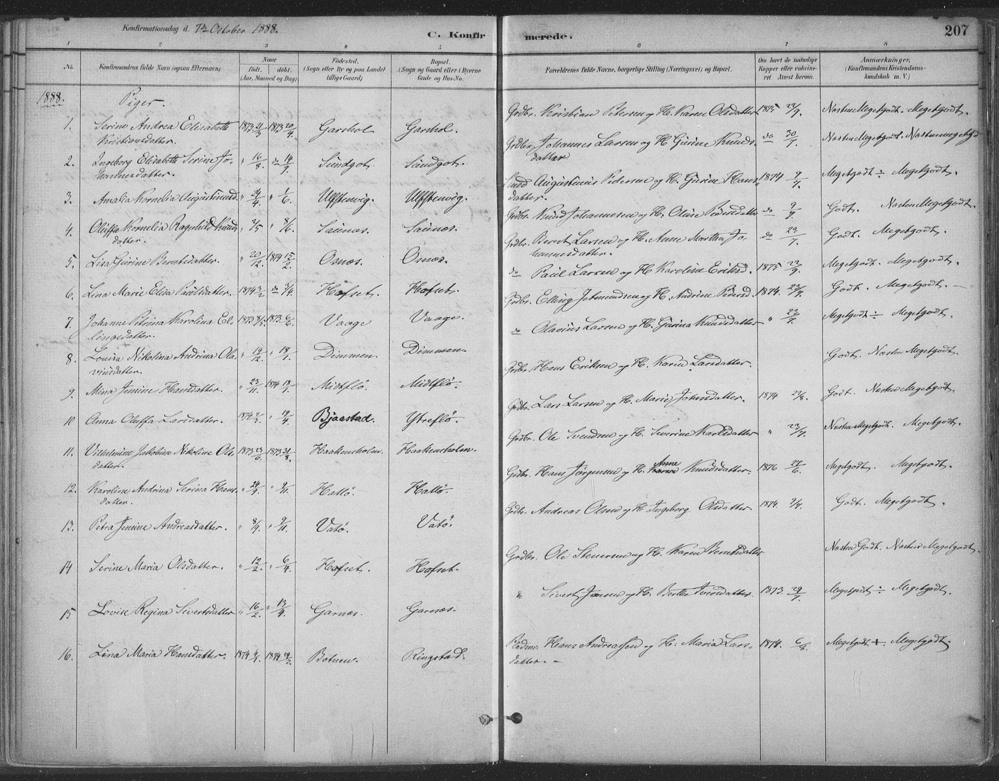 Ministerialprotokoller, klokkerbøker og fødselsregistre - Møre og Romsdal, AV/SAT-A-1454/509/L0106: Parish register (official) no. 509A04, 1883-1922, p. 207