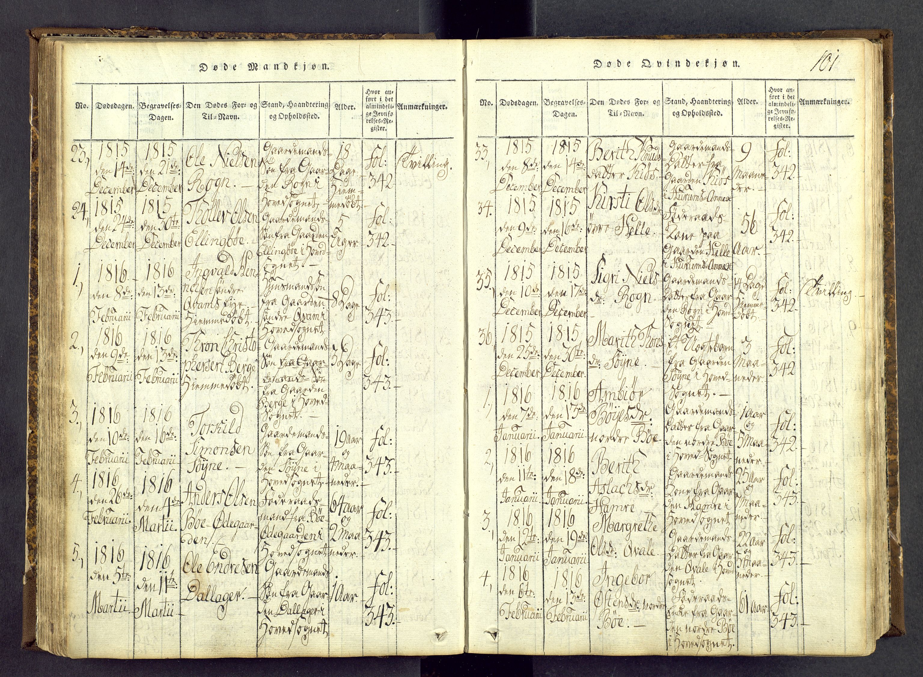 Vang prestekontor, Valdres, SAH/PREST-140/H/Ha/L0004: Parish register (official) no. 4, 1814-1831, p. 101