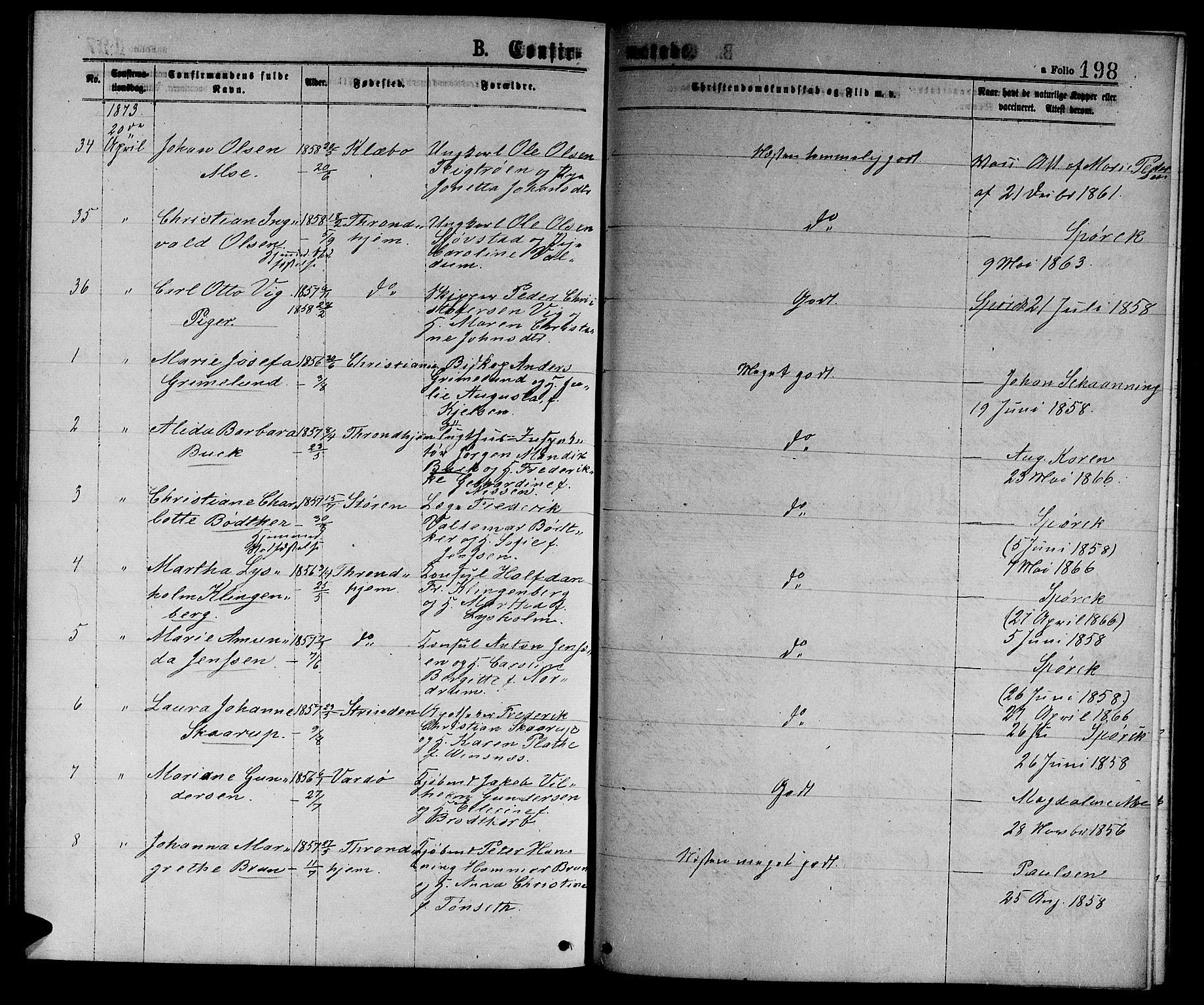 Ministerialprotokoller, klokkerbøker og fødselsregistre - Sør-Trøndelag, AV/SAT-A-1456/601/L0088: Parish register (copy) no. 601C06, 1870-1878, p. 198