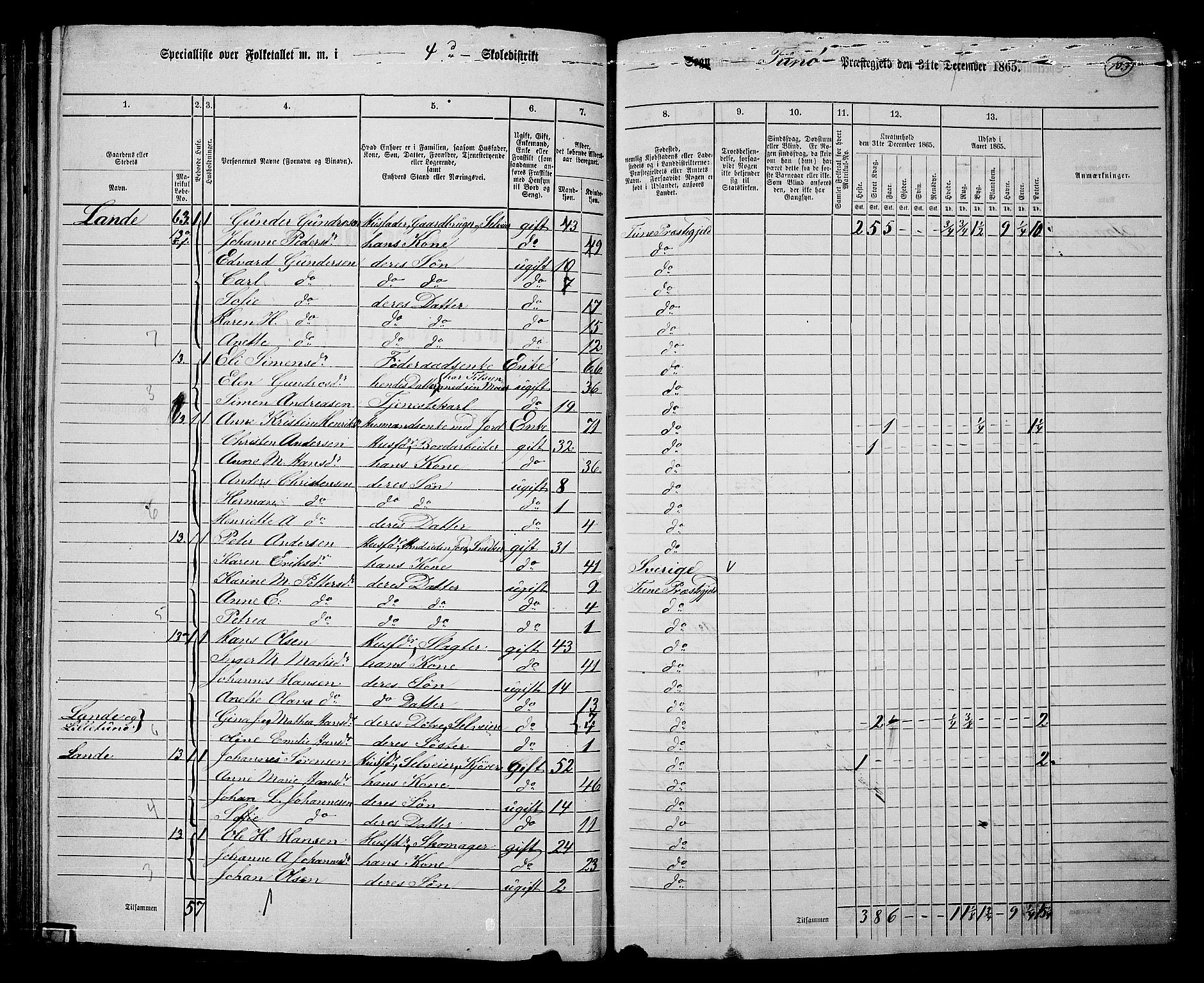 RA, 1865 census for Tune, 1865, p. 96