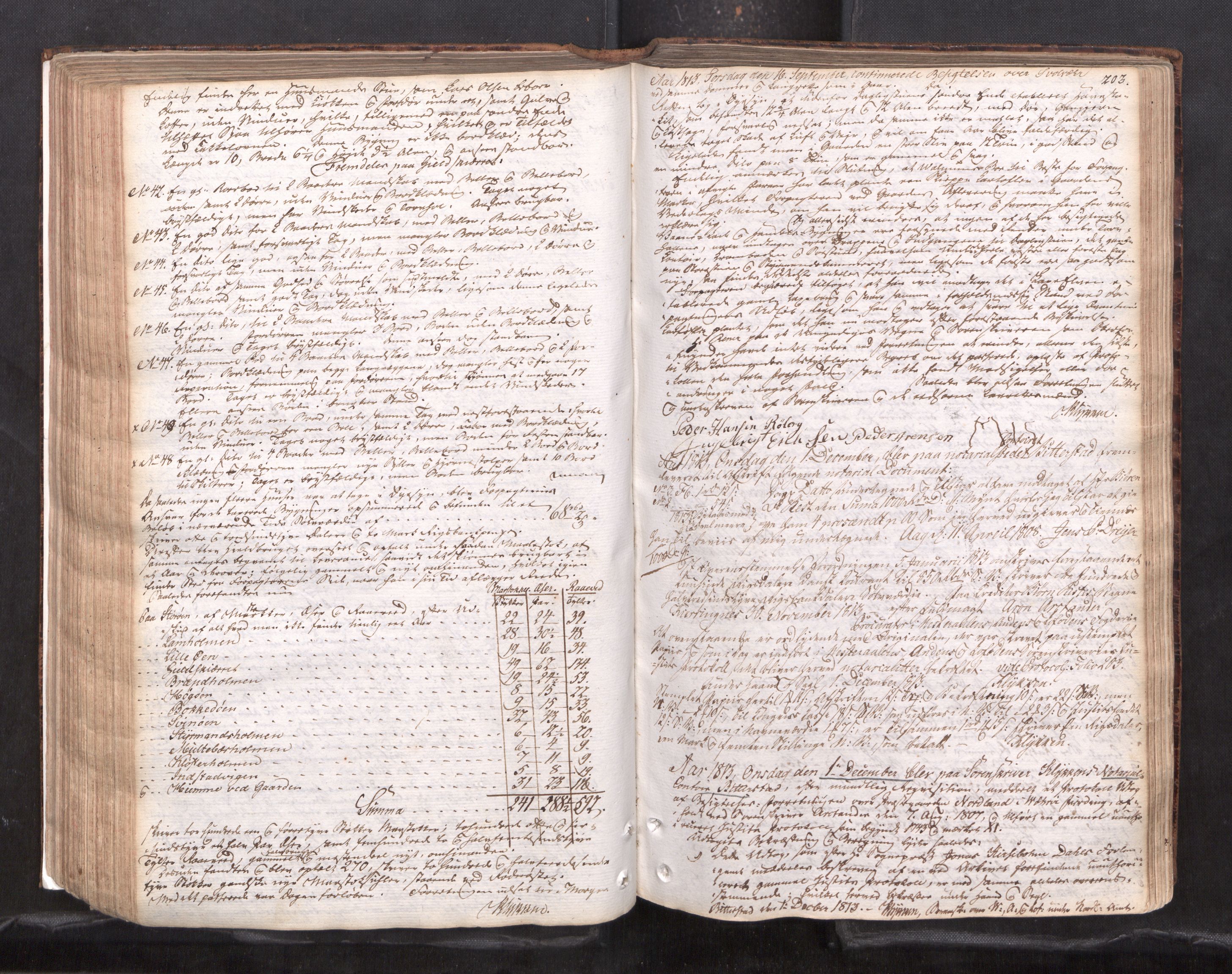 Vesterålen sorenskriveri, AV/SAT-A-4180/1/1/1A/L0017: Tingbok, 1810-1820, p. 202b-203a