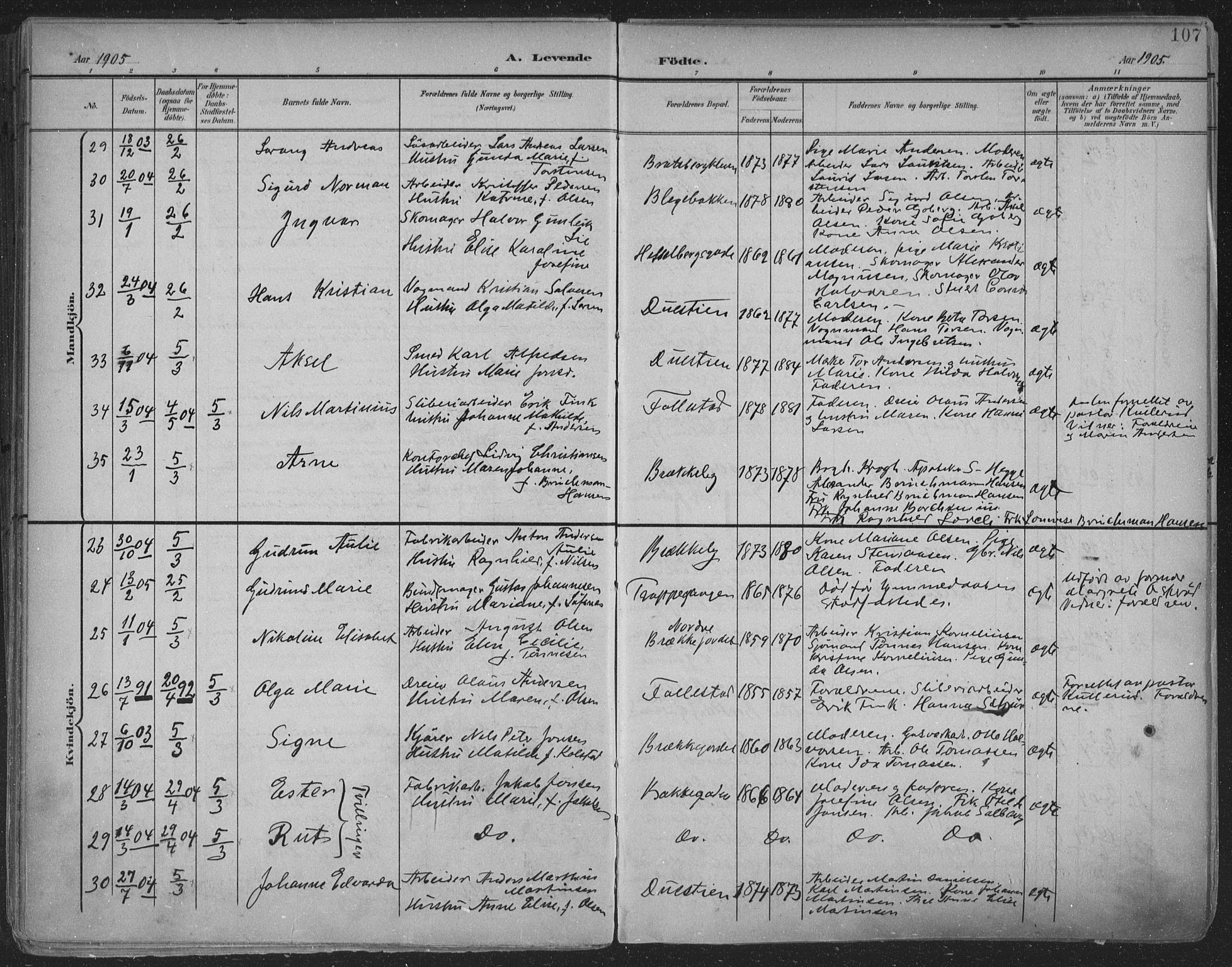 Skien kirkebøker, AV/SAKO-A-302/F/Fa/L0011: Parish register (official) no. 11, 1900-1907, p. 107