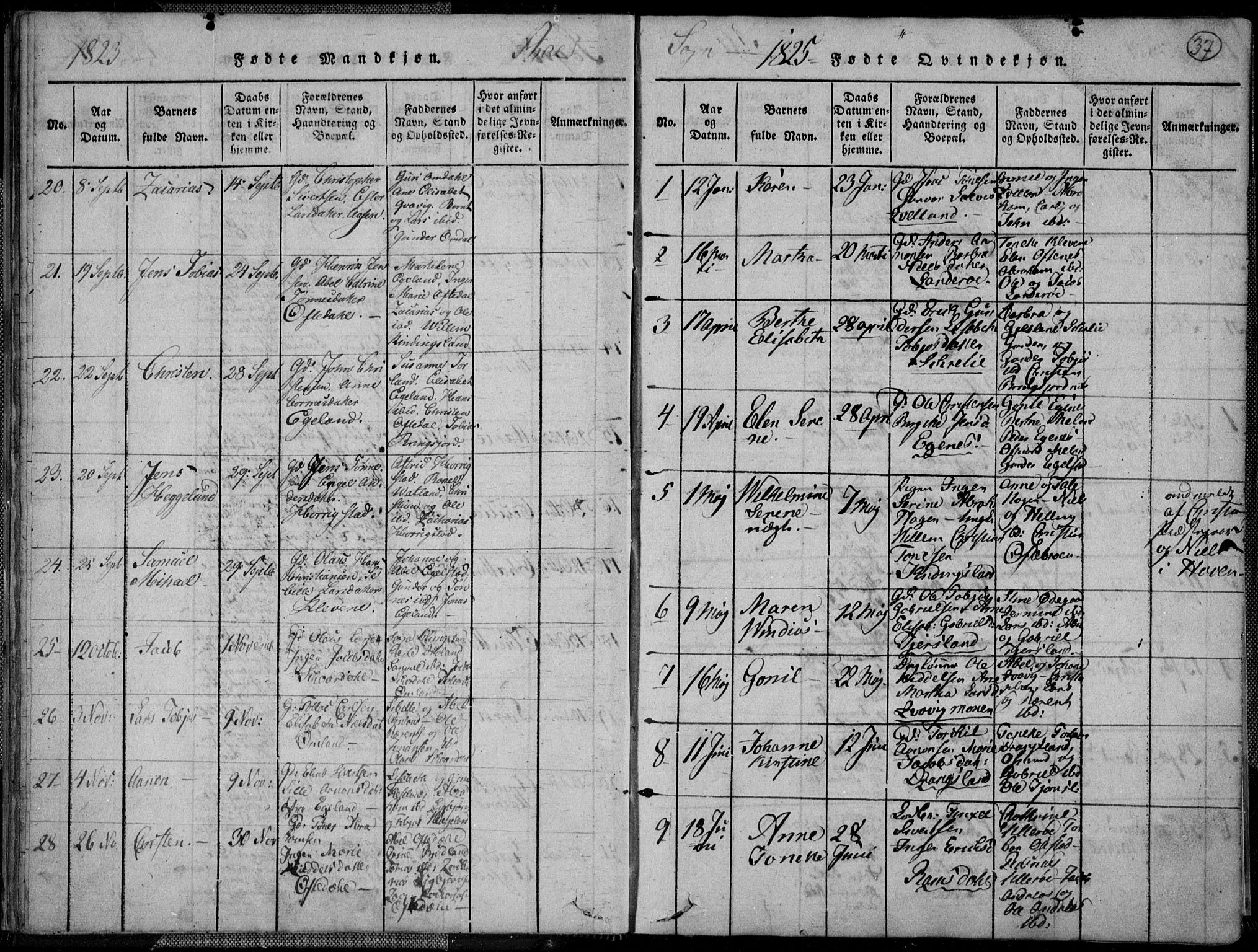 Lyngdal sokneprestkontor, AV/SAK-1111-0029/F/Fa/Fac/L0006: Parish register (official) no. A 6, 1815-1825, p. 37