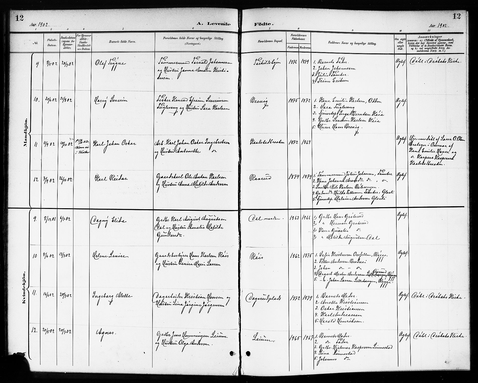 Drøbak prestekontor Kirkebøker, SAO/A-10142a/G/Gb/L0001: Parish register (copy) no. II 1, 1901-1919, p. 12