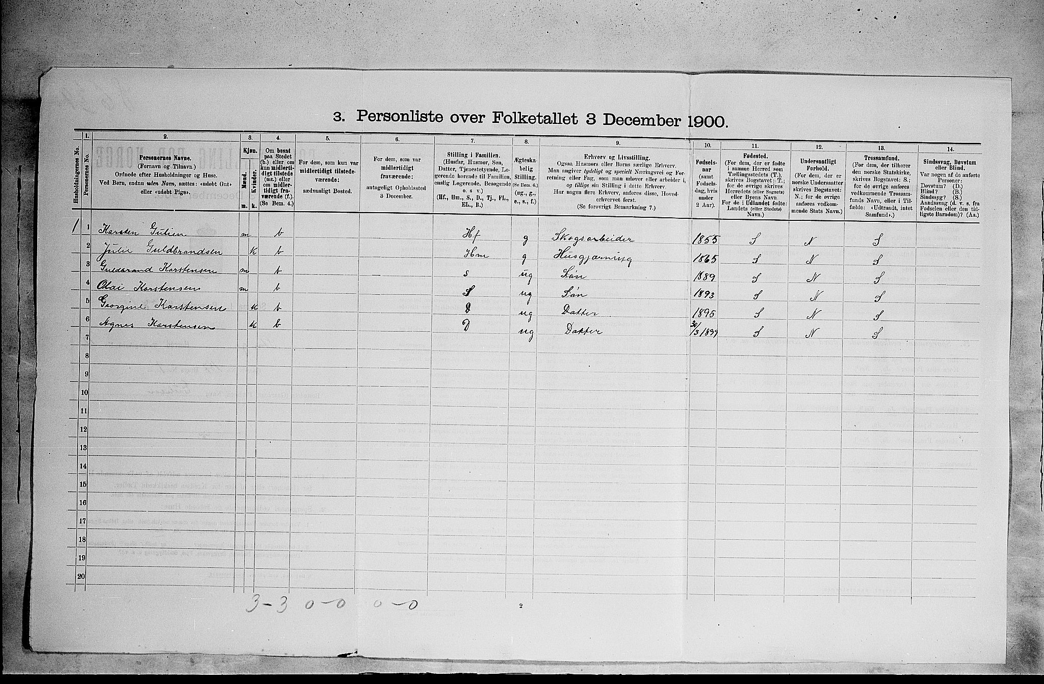 SAH, 1900 census for Stange, 1900, p. 2313