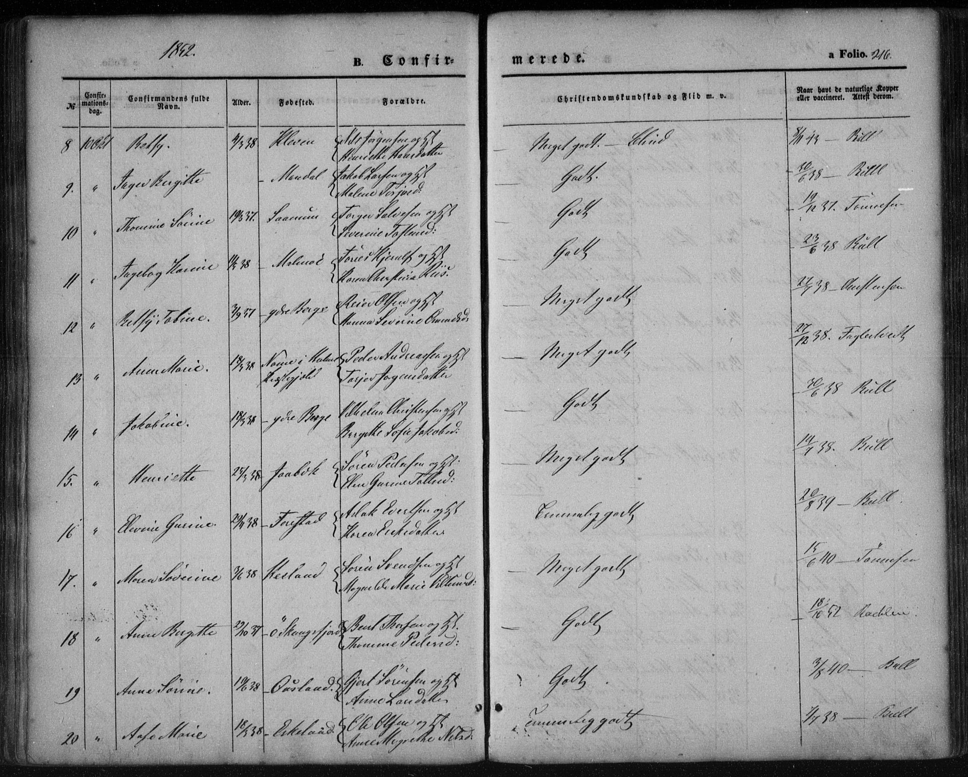 Mandal sokneprestkontor, AV/SAK-1111-0030/F/Fa/Faa/L0013: Parish register (official) no. A 13, 1847-1859, p. 216