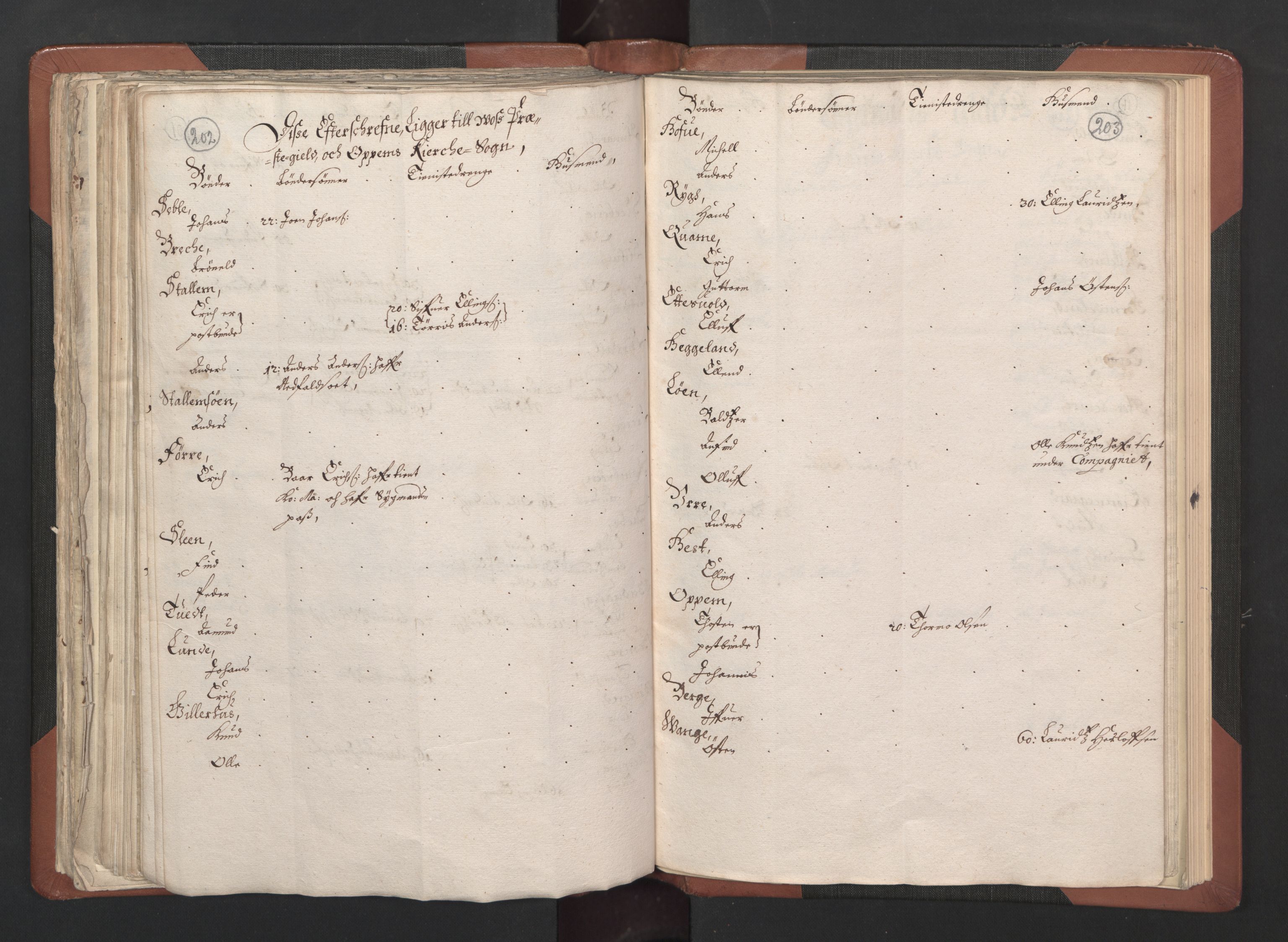 RA, Bailiff's Census 1664-1666, no. 14: Hardanger len, Ytre Sogn fogderi and Indre Sogn fogderi, 1664-1665, p. 202-203