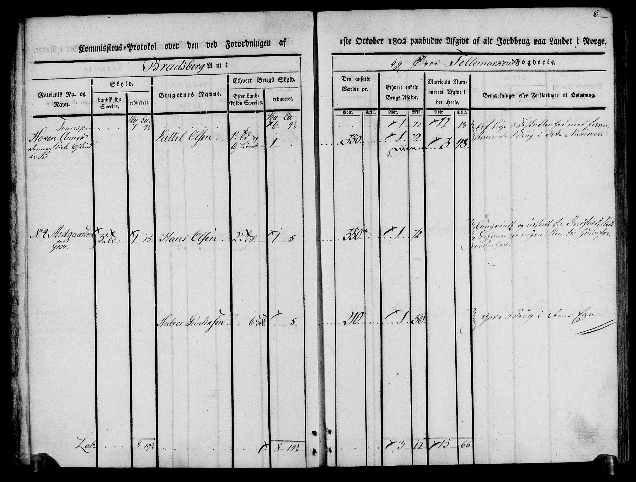 Rentekammeret inntil 1814, Realistisk ordnet avdeling, AV/RA-EA-4070/N/Ne/Nea/L0074: Øvre Telemarken fogderi. Kommisjonsprotokoll for fogderiets østre del - Tinn, Hjartdal og Seljord prestegjeld., 1803, p. 6