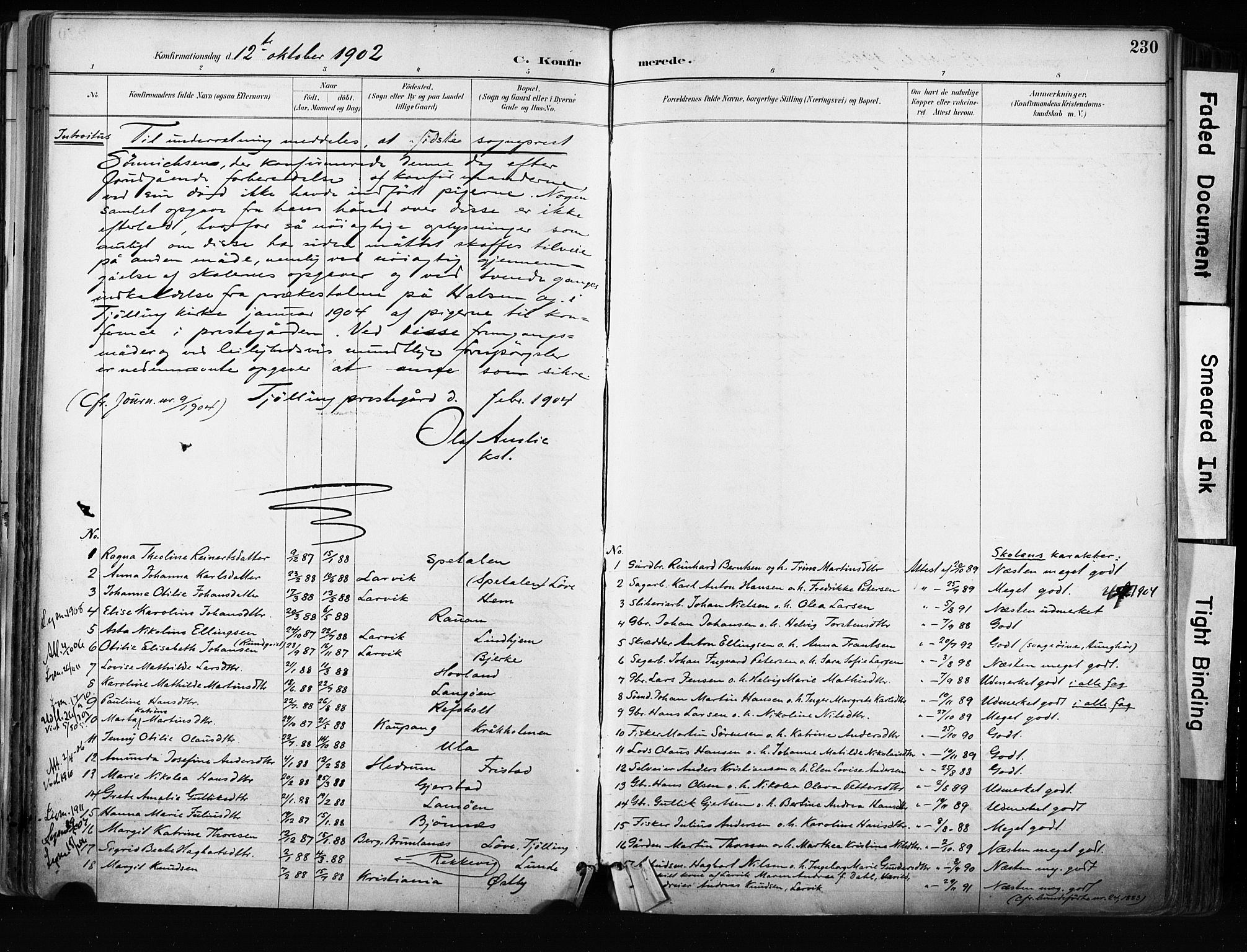 Tjølling kirkebøker, AV/SAKO-A-60/F/Fa/L0009: Parish register (official) no. 9, 1887-1905, p. 230