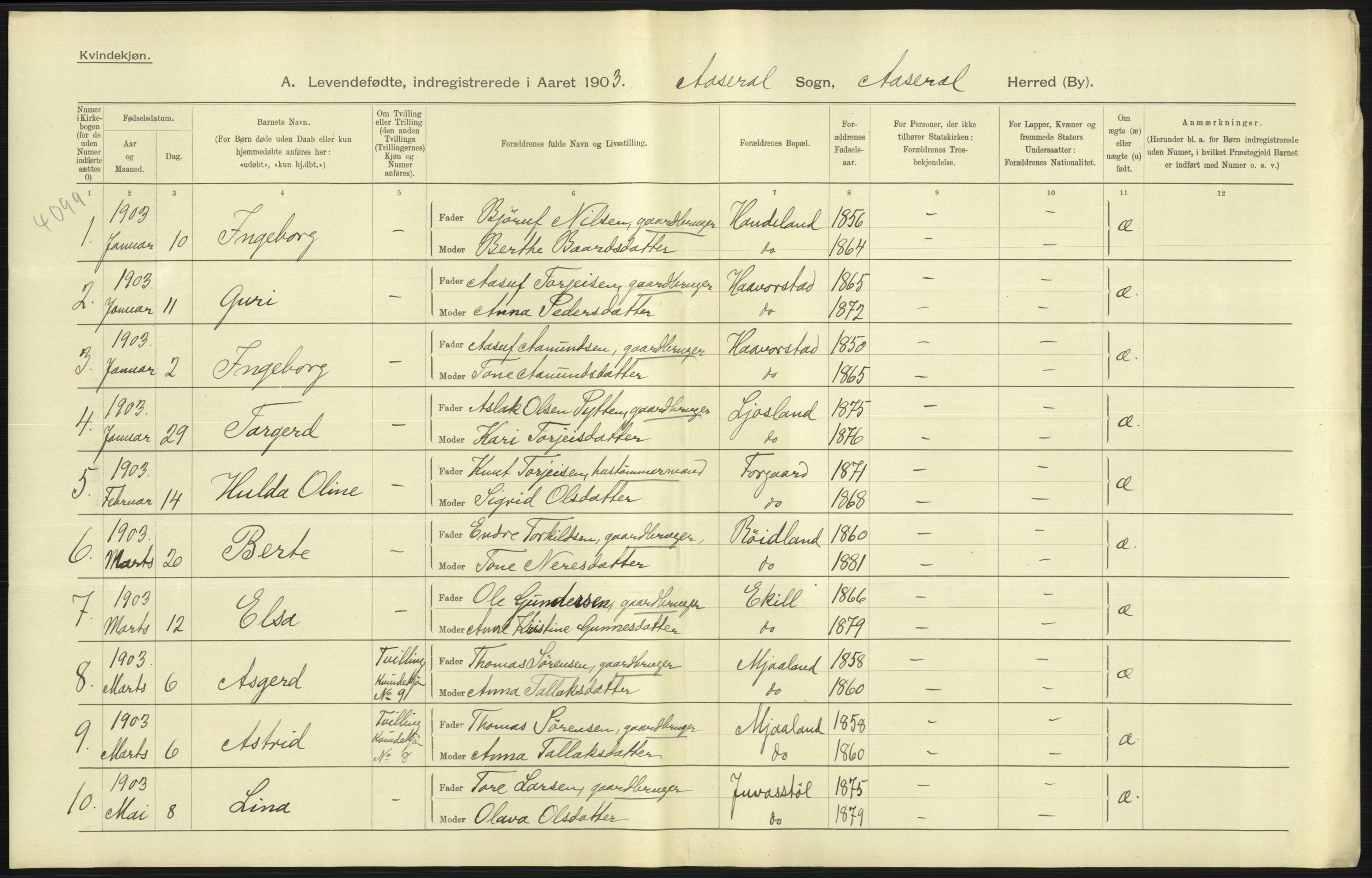 Statistisk sentralbyrå, Sosiodemografiske emner, Befolkning, AV/RA-S-2228/D/Df/Dfa/Dfaa/L0011: Lister og Mandal amt: Fødte, gifte, døde, 1903, p. 117