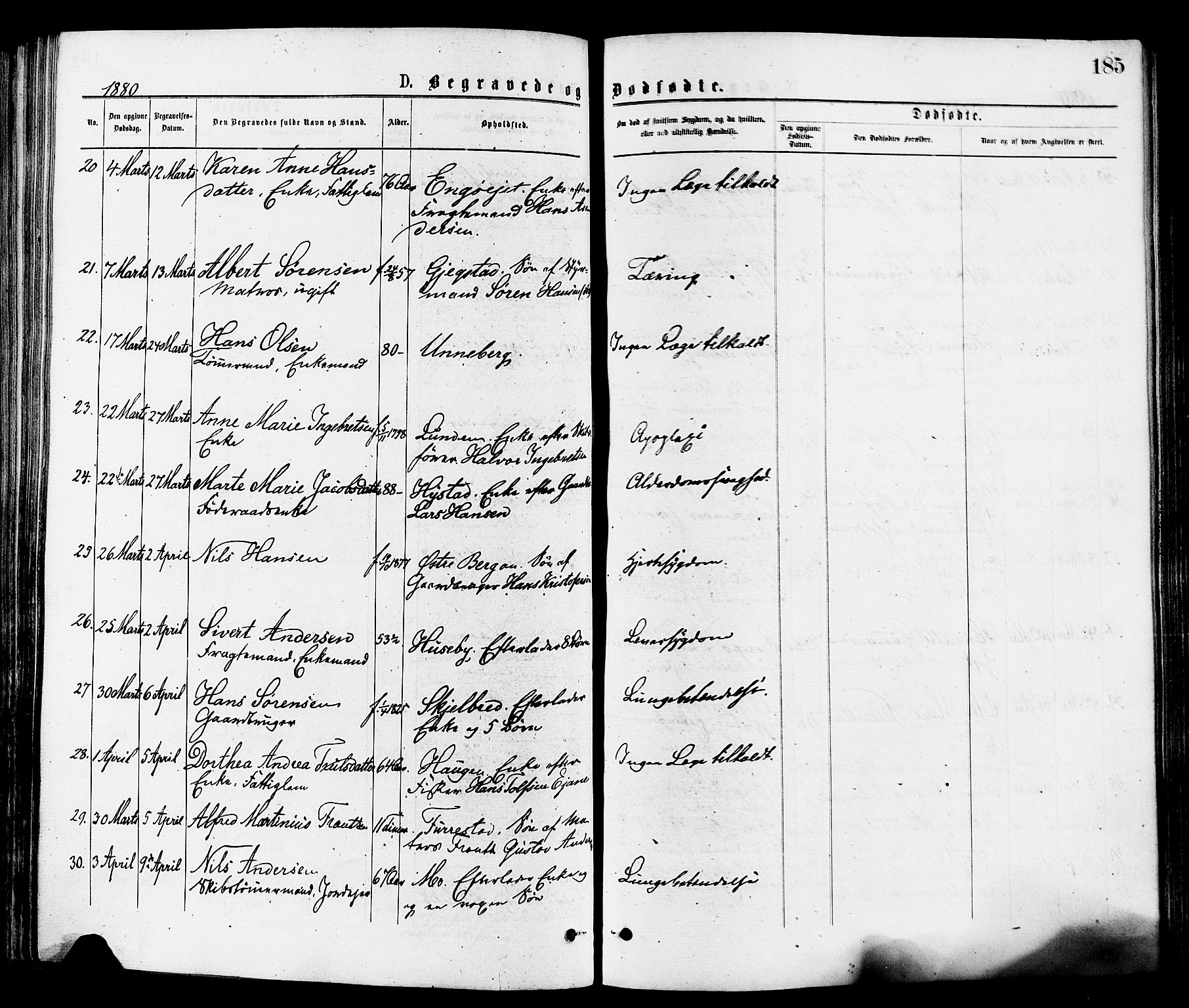 Sandar kirkebøker, SAKO/A-243/F/Fa/L0011: Parish register (official) no. 11, 1872-1882, p. 185