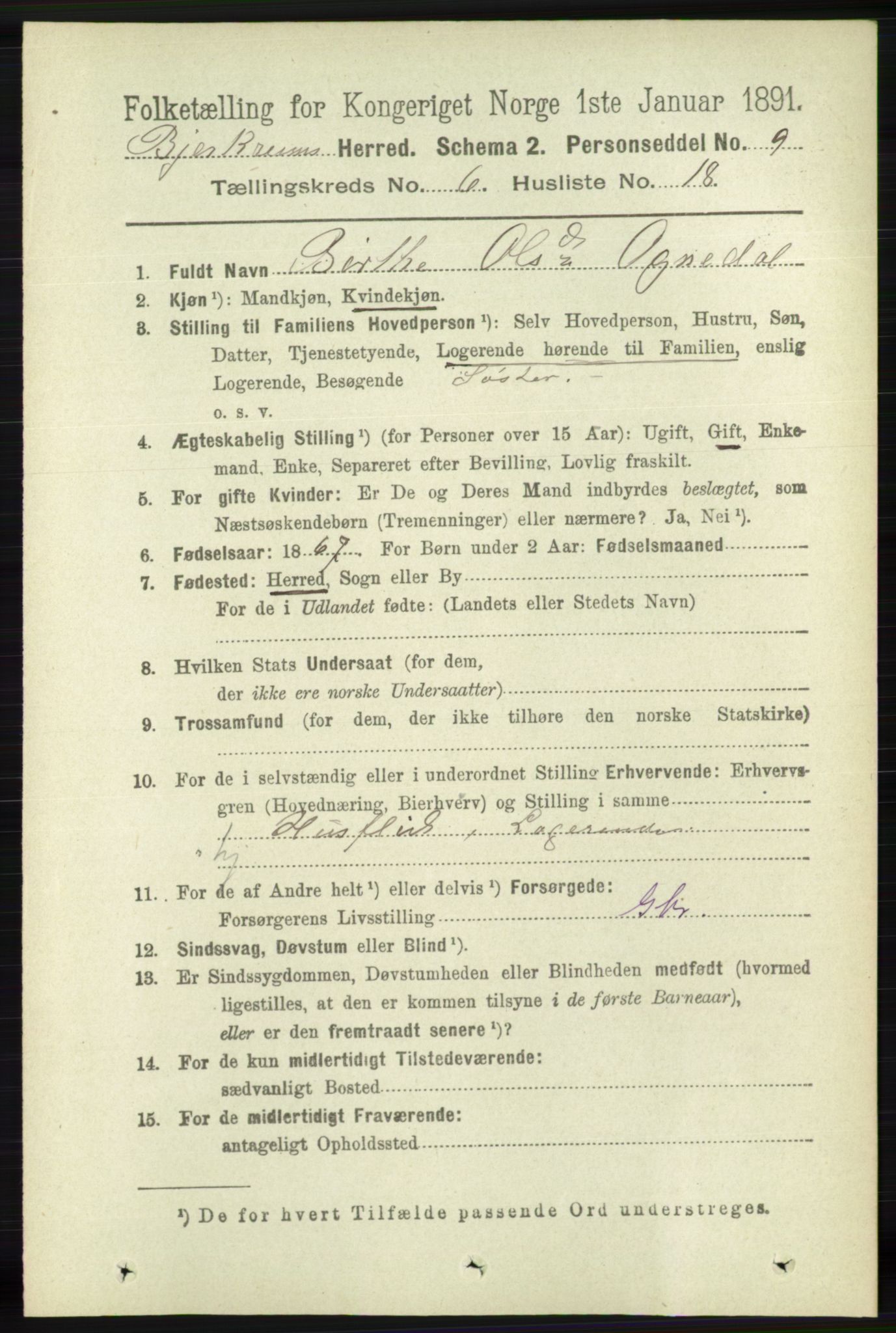 RA, 1891 census for 1114 Bjerkreim, 1891, p. 2197