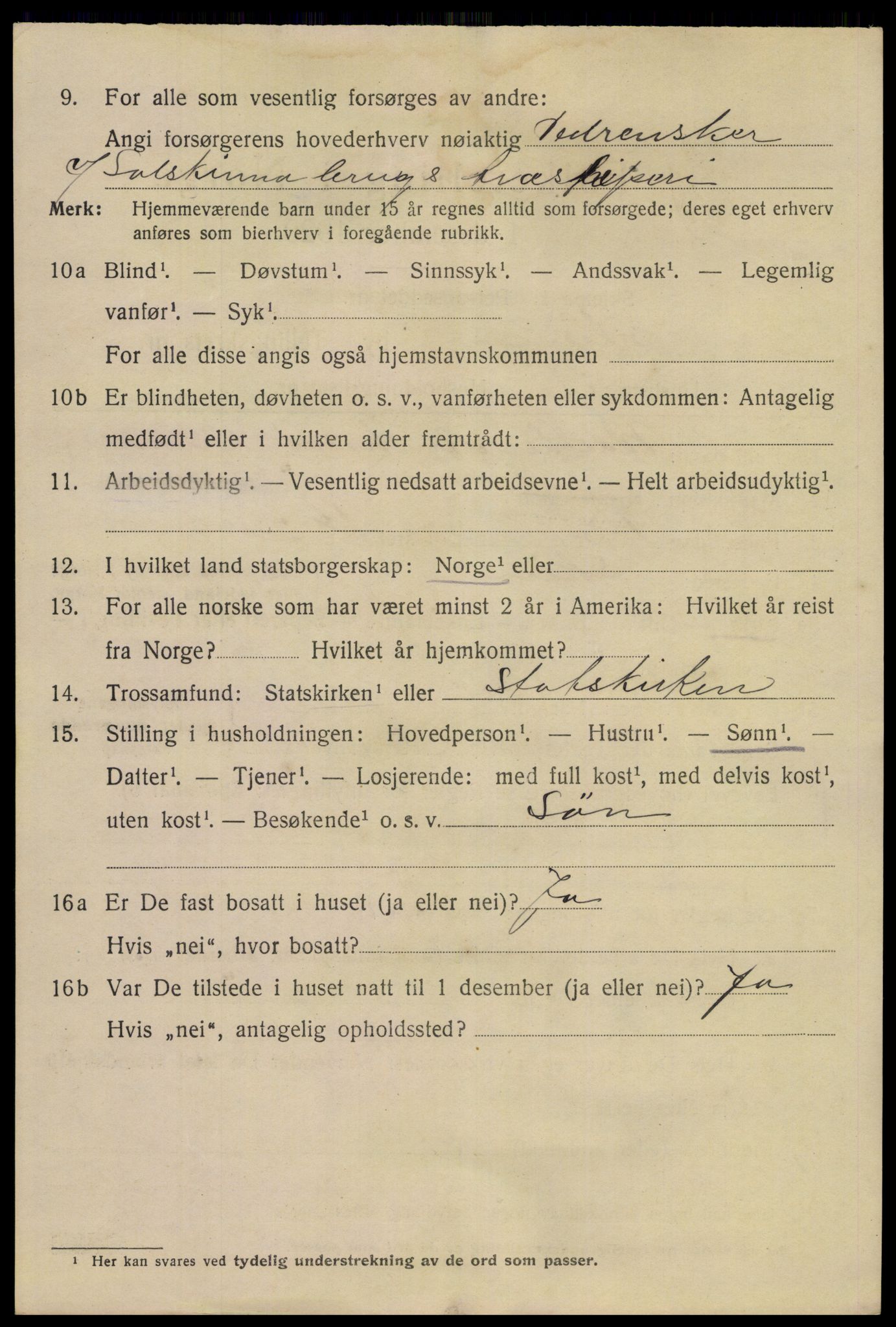 SAKO, 1920 census for Skien, 1920, p. 19497