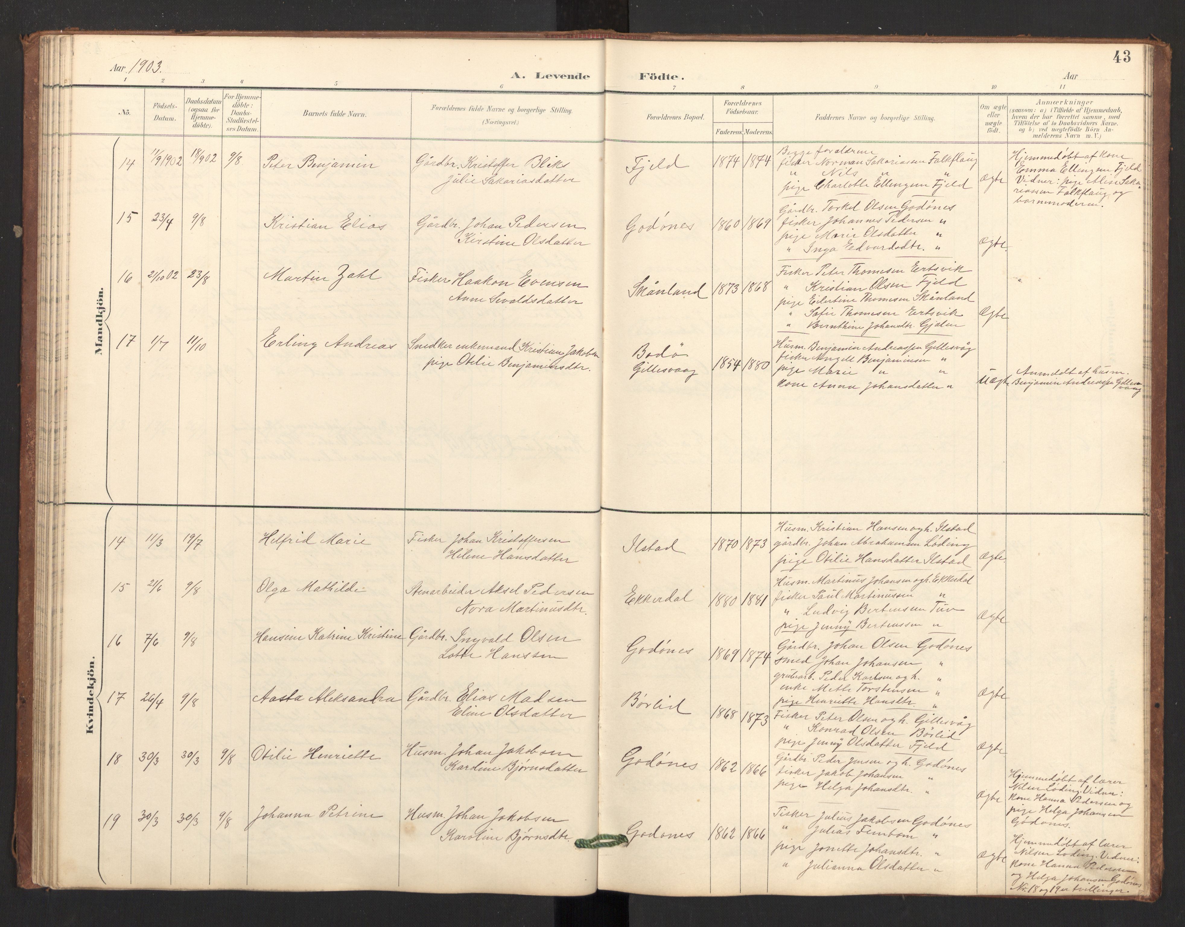 Ministerialprotokoller, klokkerbøker og fødselsregistre - Nordland, AV/SAT-A-1459/804/L0087: Parish register (official) no. 804A08, 1894-1907, p. 43