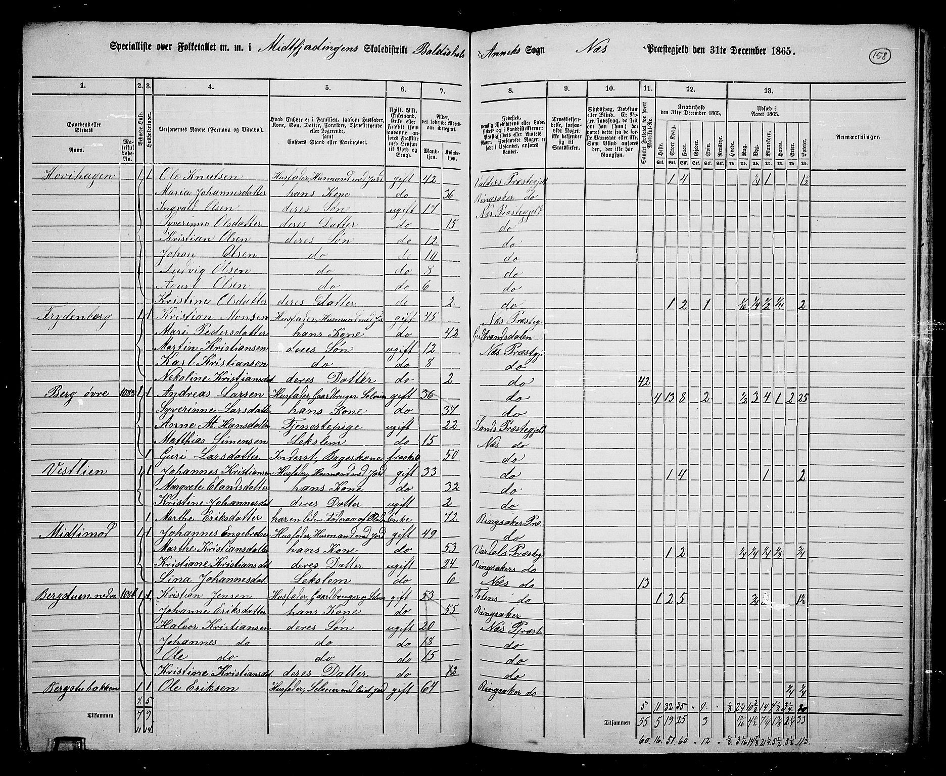 RA, 1865 census for Nes, 1865, p. 134