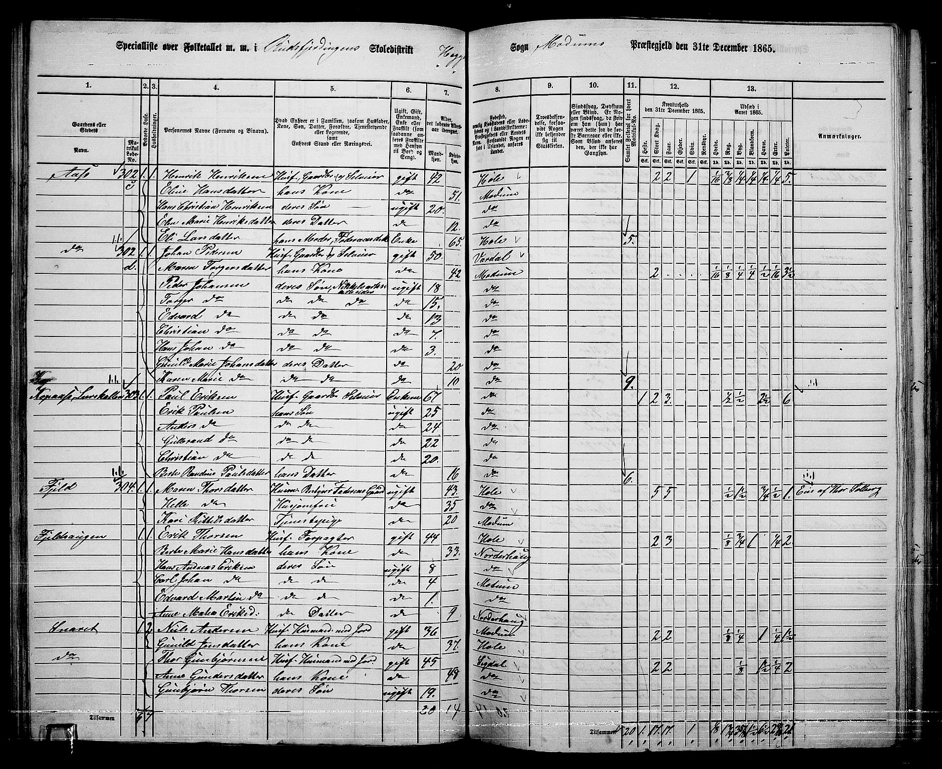 RA, 1865 census for Modum, 1865, p. 107