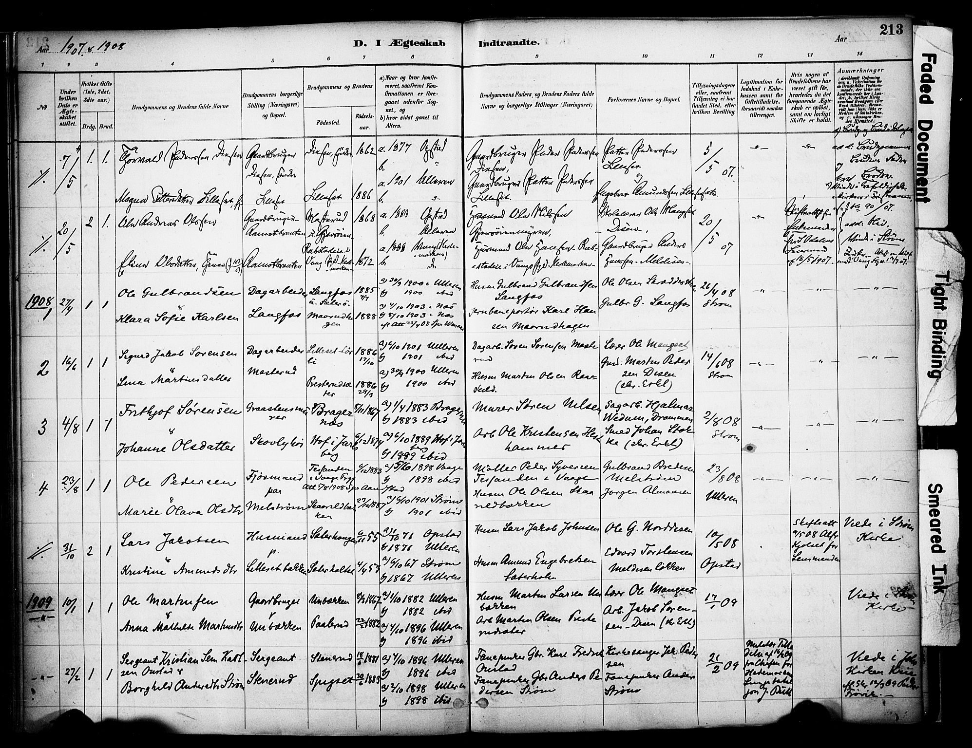 Sør-Odal prestekontor, SAH/PREST-030/H/Ha/Haa/L0008: Parish register (official) no. 8, 1886-1922, p. 213