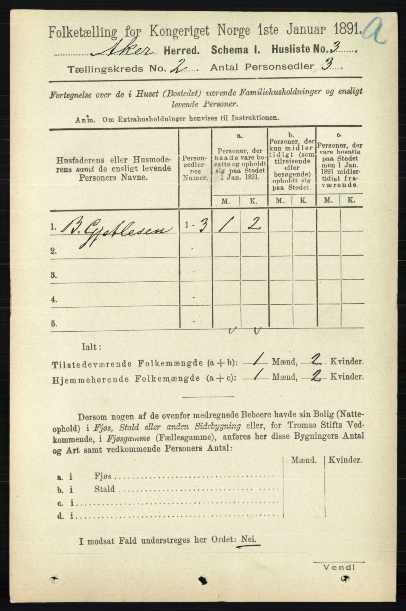 RA, 1891 census for 0218 Aker, 1891, p. 1181