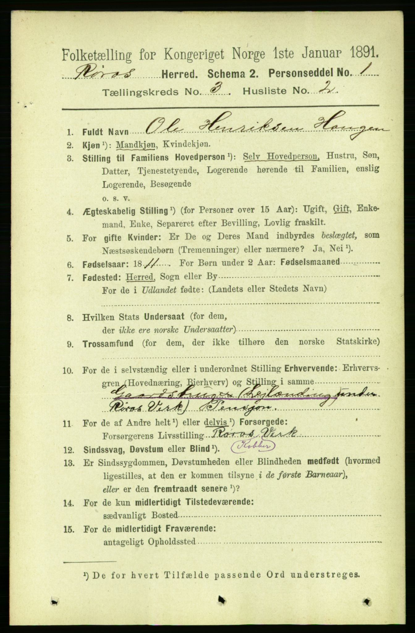 RA, 1891 census for 1640 Røros, 1891, p. 528