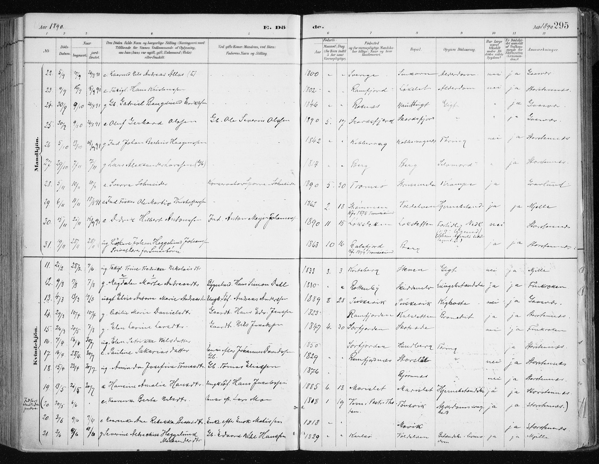 Tromsøysund sokneprestkontor, AV/SATØ-S-1304/G/Ga/L0005kirke: Parish register (official) no. 5, 1888-1896, p. 295