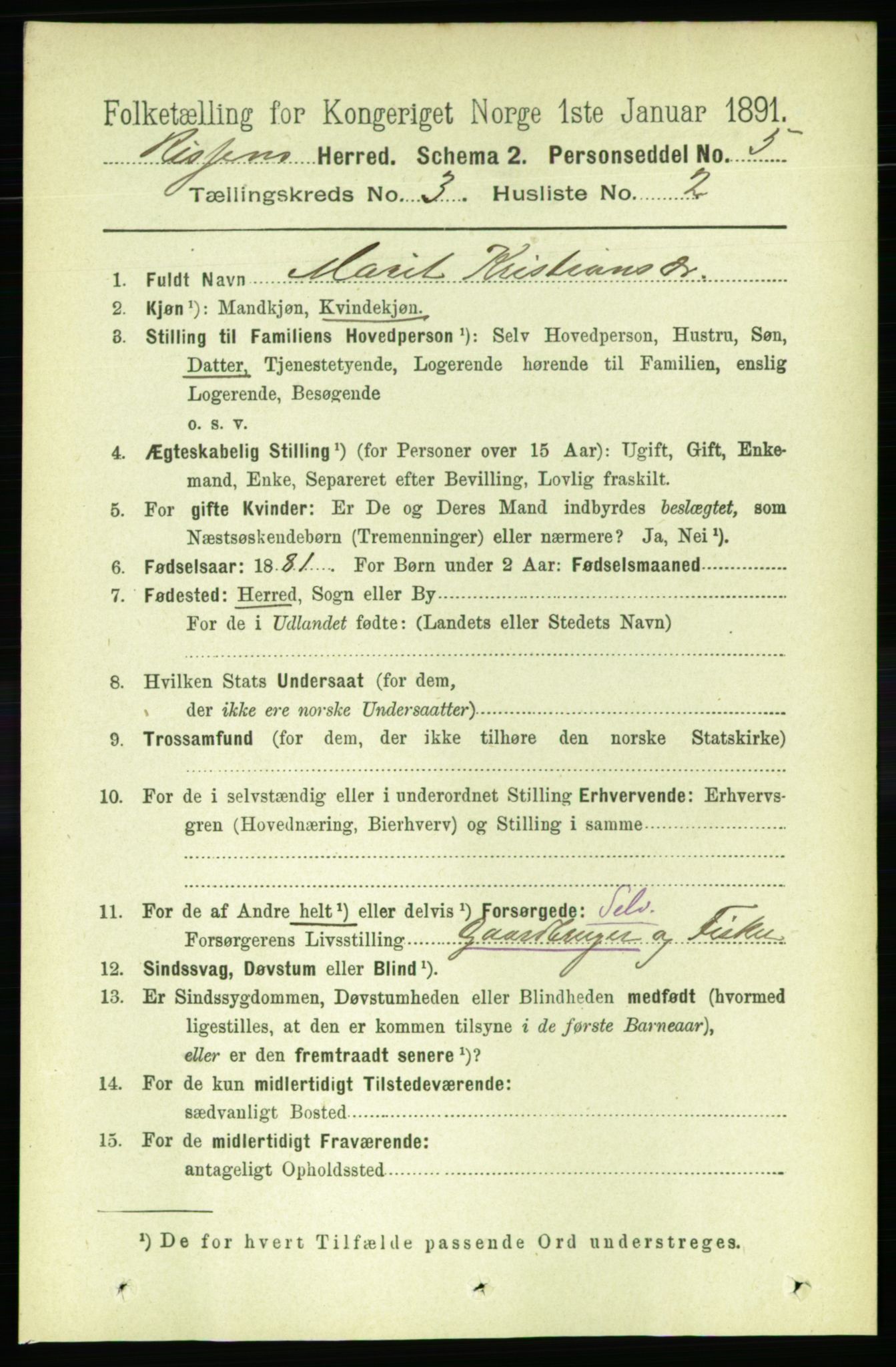 RA, 1891 census for 1624 Rissa, 1891, p. 1596