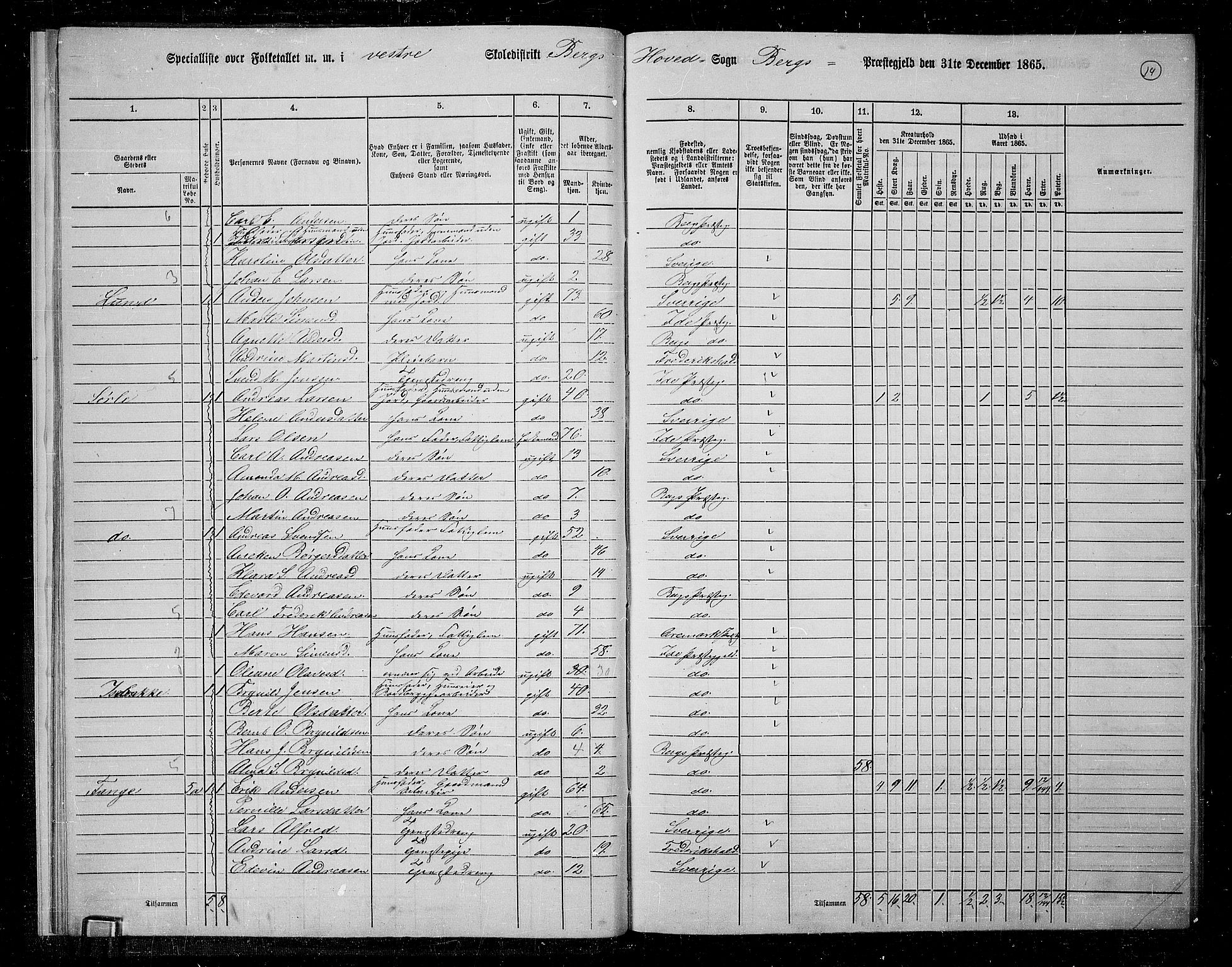 RA, 1865 census for Berg, 1865, p. 14