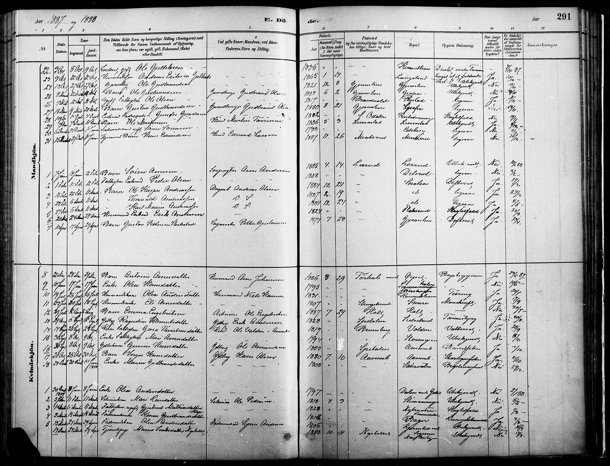 Vinger prestekontor, AV/SAH-PREST-024/H/Ha/Haa/L0014: Parish register (official) no. 14, 1881-1900, p. 291