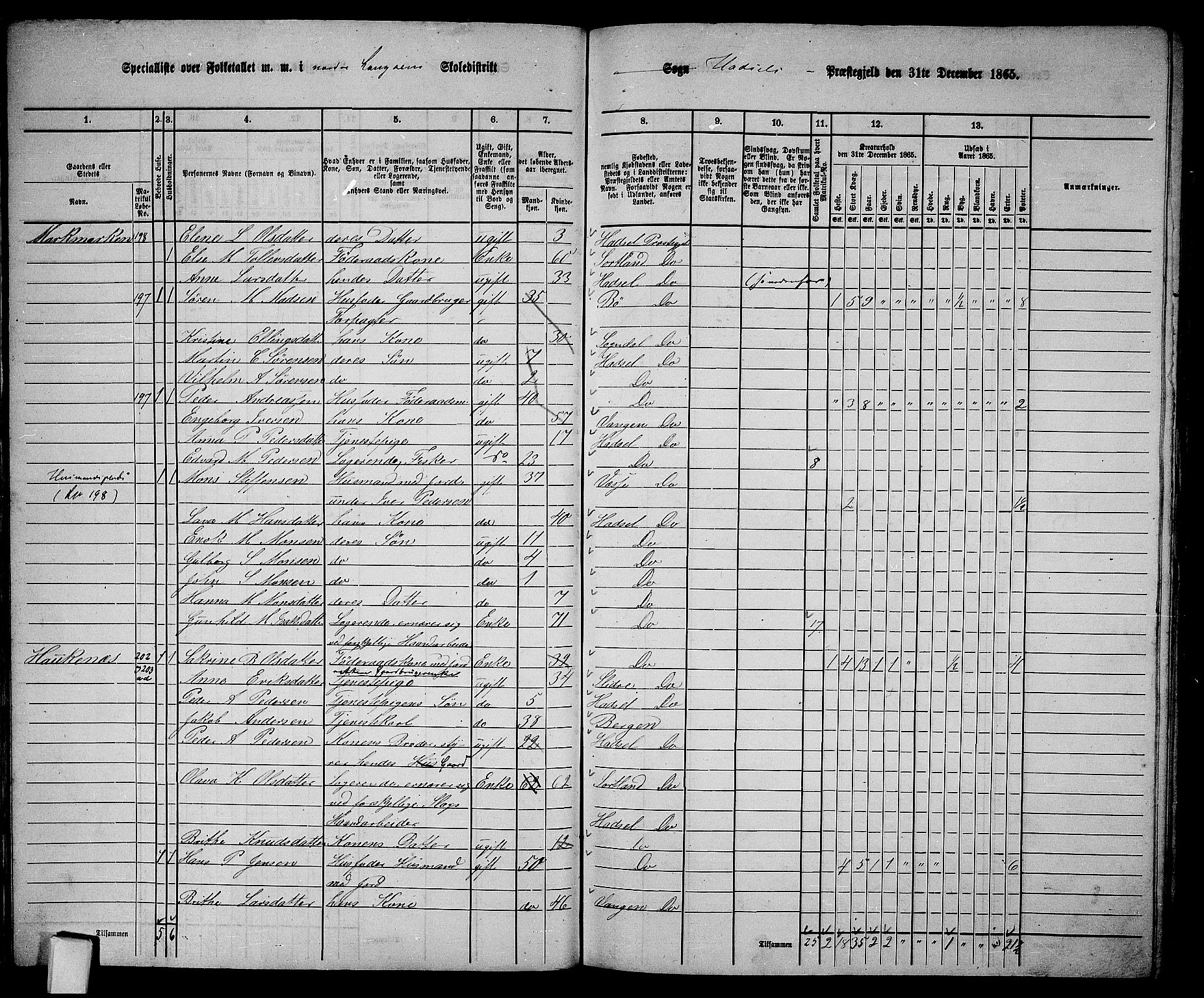 RA, 1865 census for Hadsel, 1865, p. 19