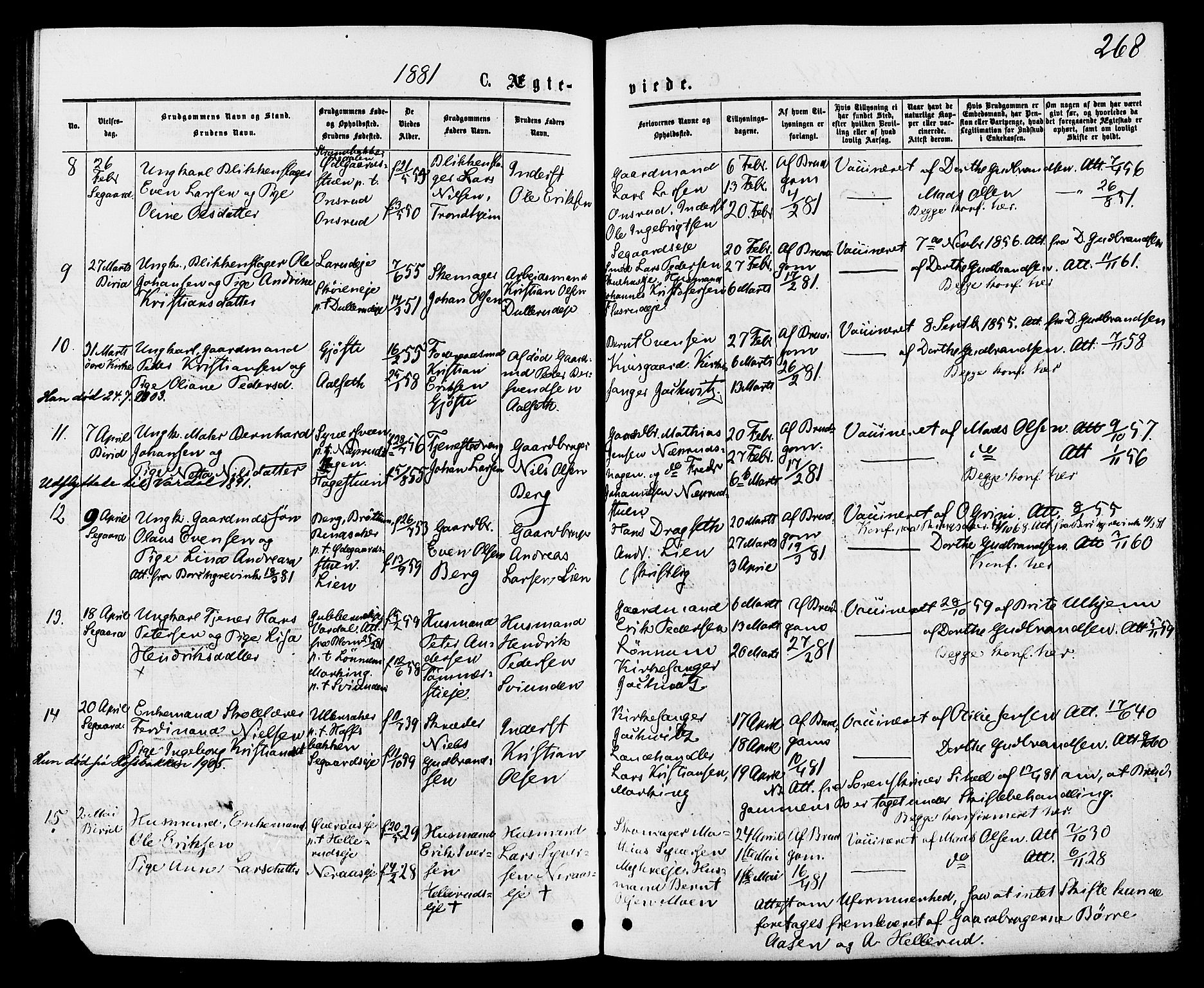 Biri prestekontor, SAH/PREST-096/H/Ha/Haa/L0006: Parish register (official) no. 6, 1877-1886, p. 268