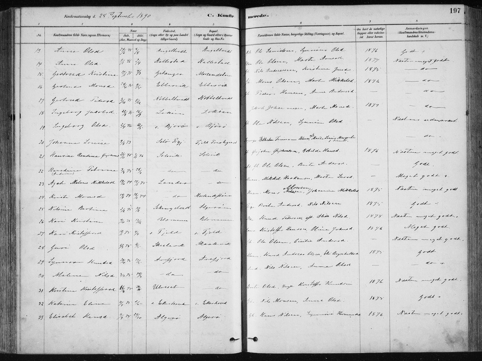 Fjell sokneprestembete, SAB/A-75301/H/Haa: Parish register (official) no. A  8, 1878-1898, p. 197